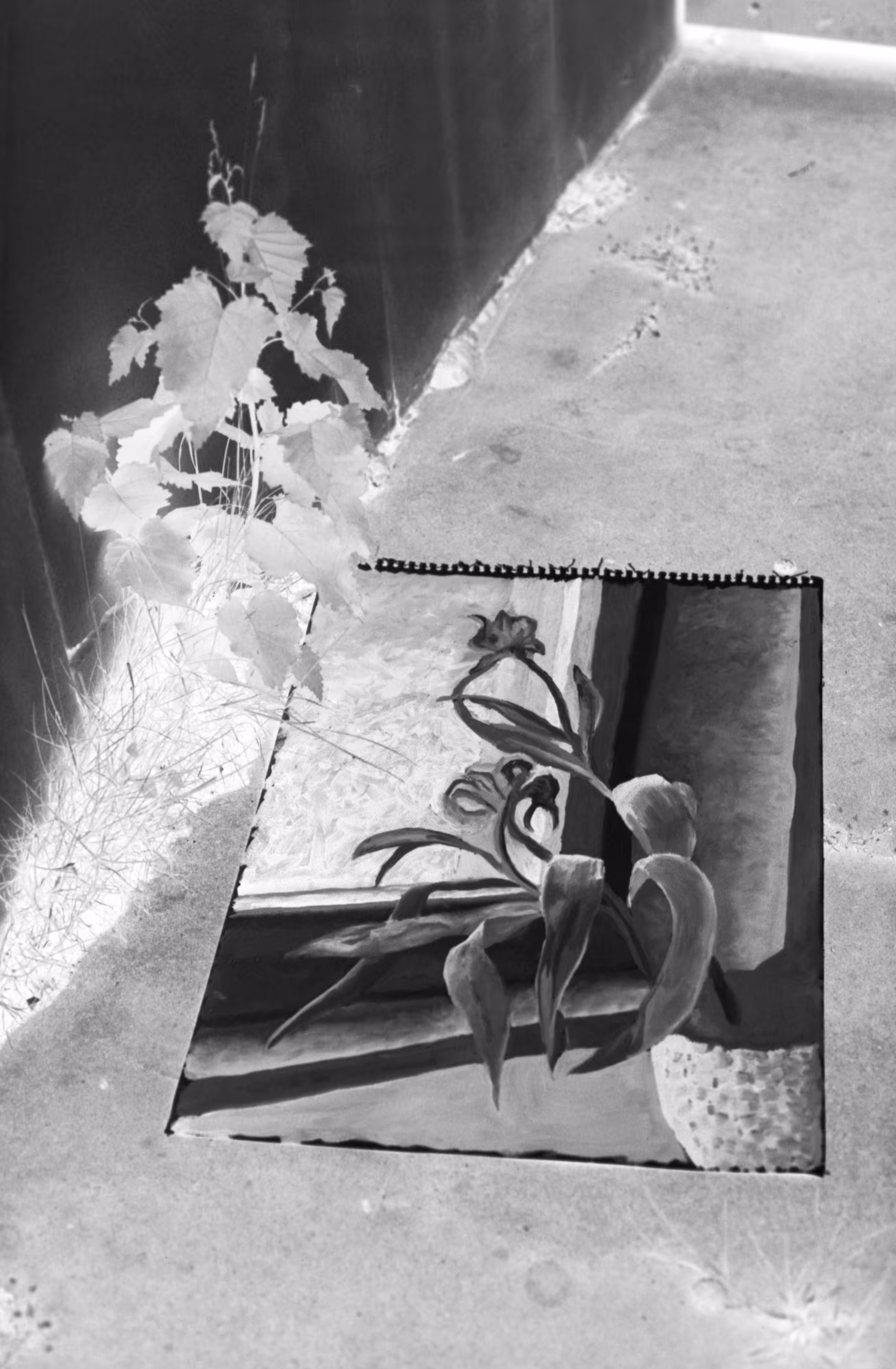 everywhere I went my shadow followed #3