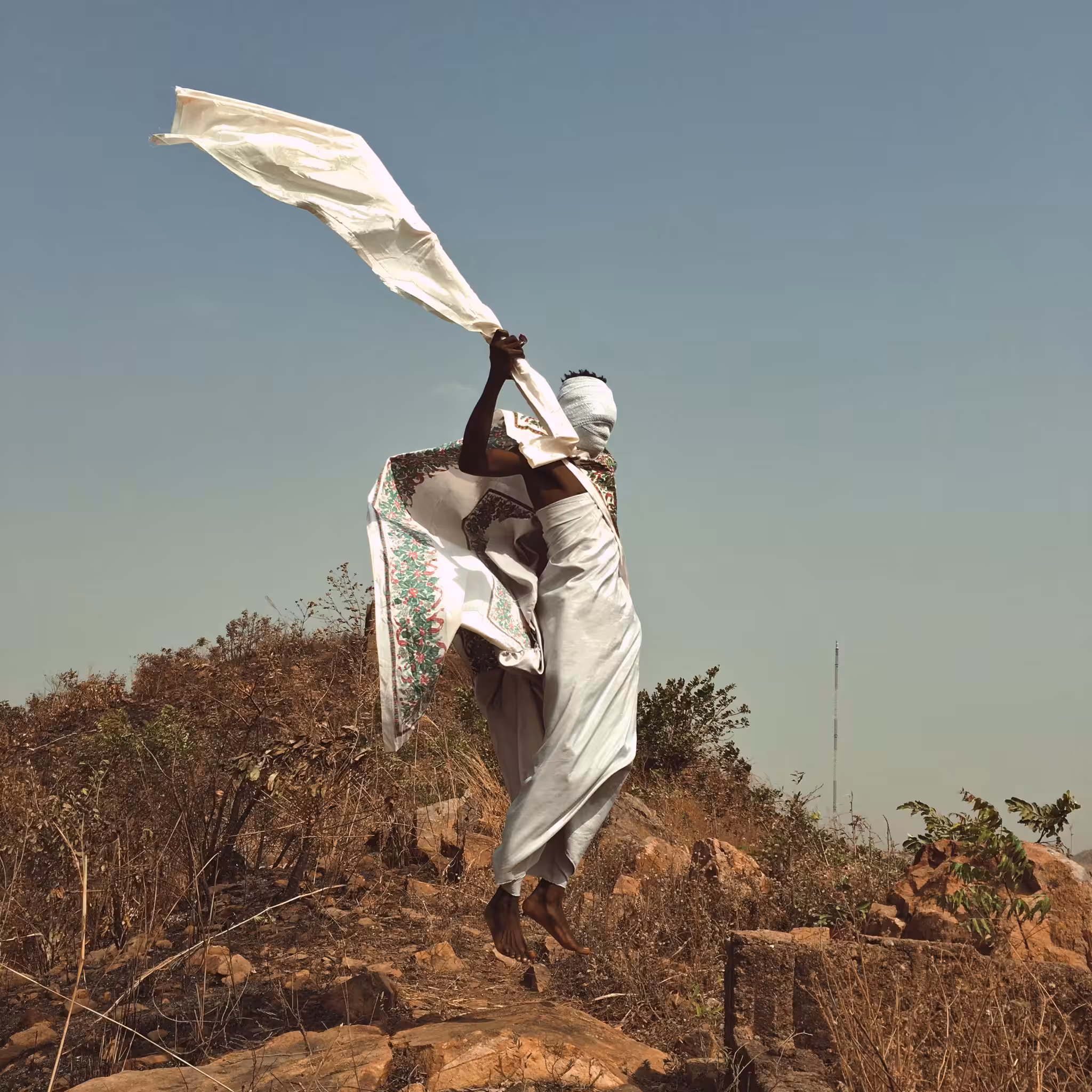 THE WHITE IROKO