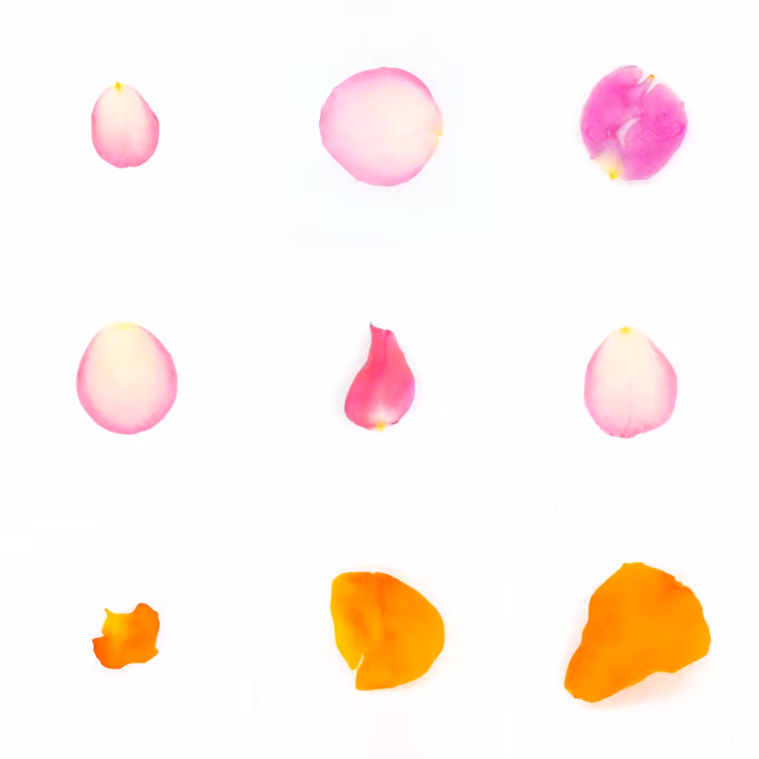 Infinite Petals 3x3#2847