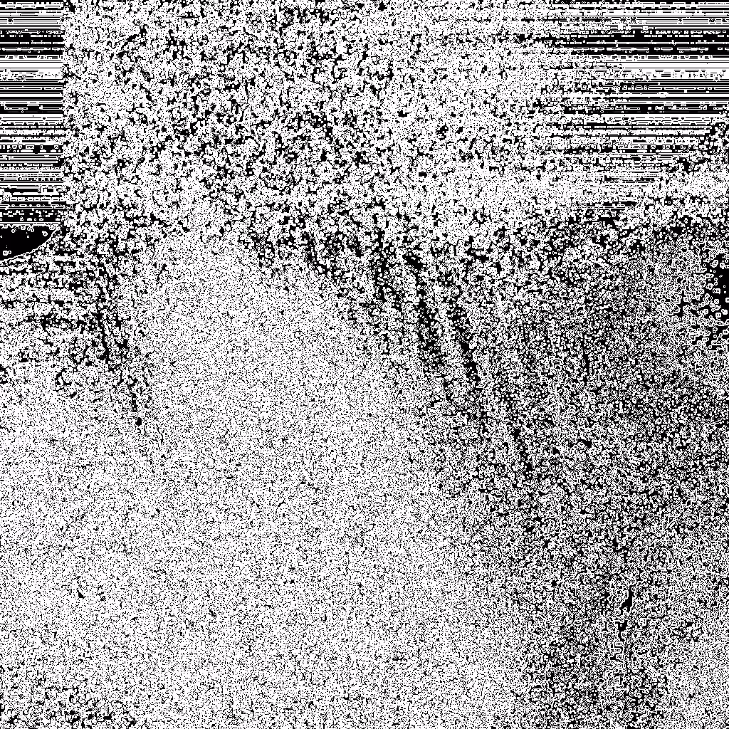Noise #912 