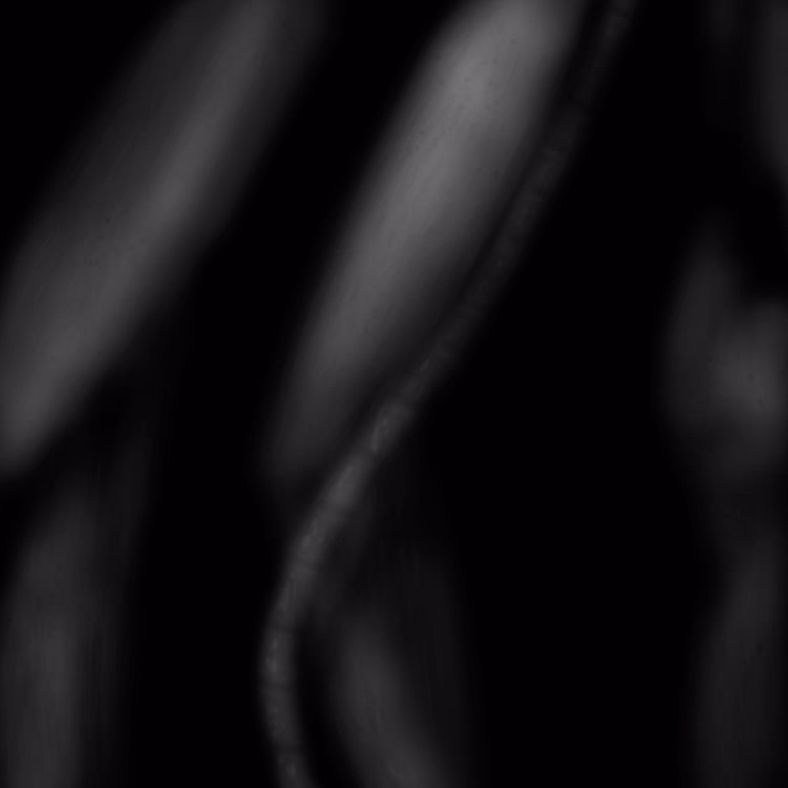 LYMBYX__node_004.JPG