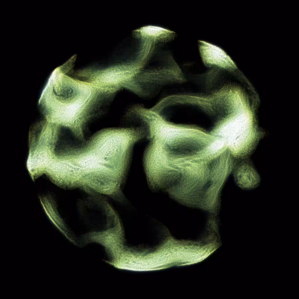 PETRI #45