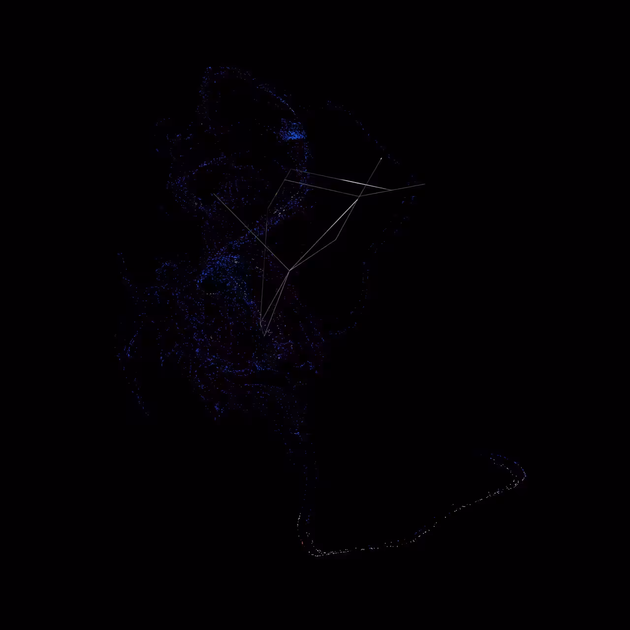 ORDER OF CYBERNETICS