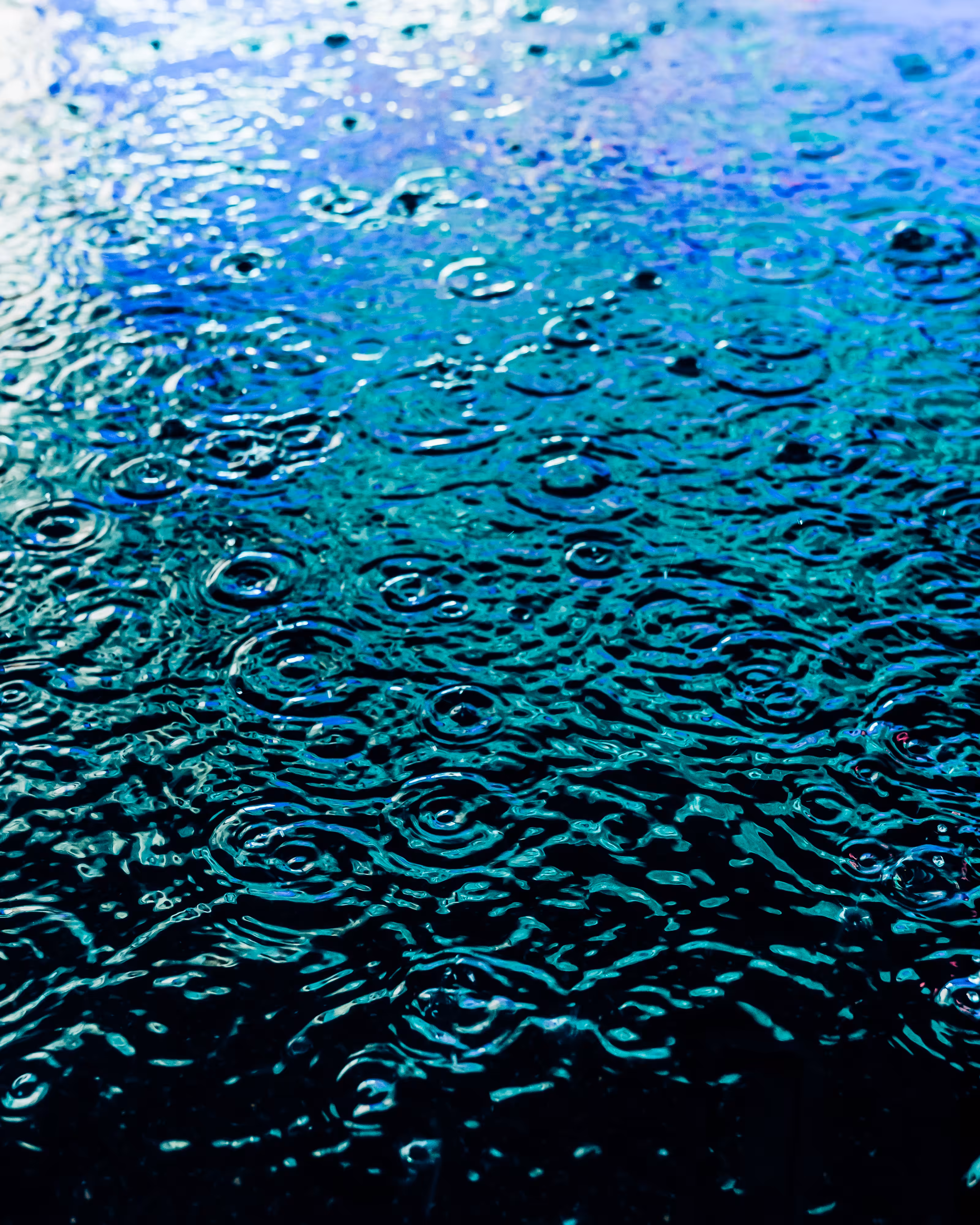 DRIP DROP: DRIP #86