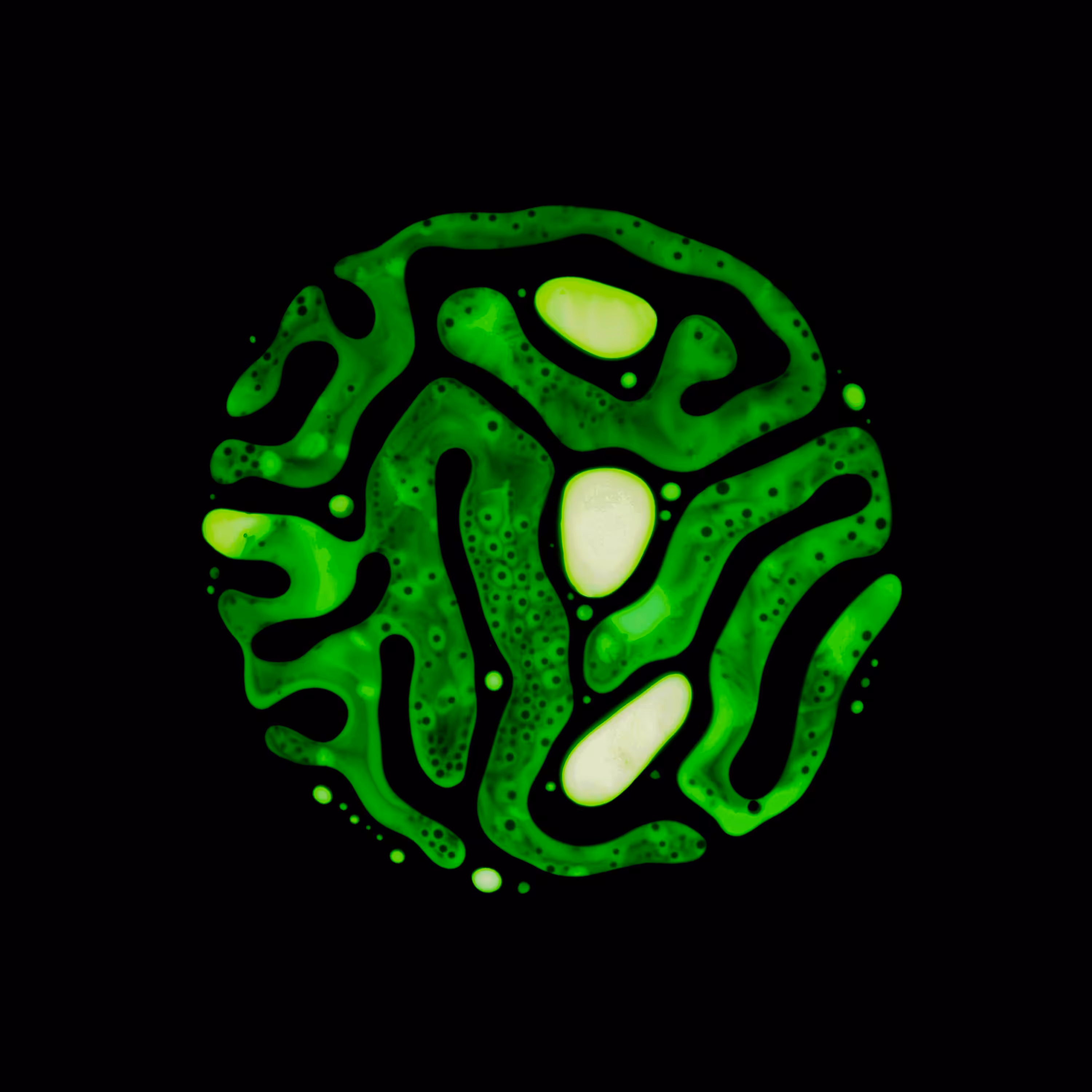 Haematopoiesis #48