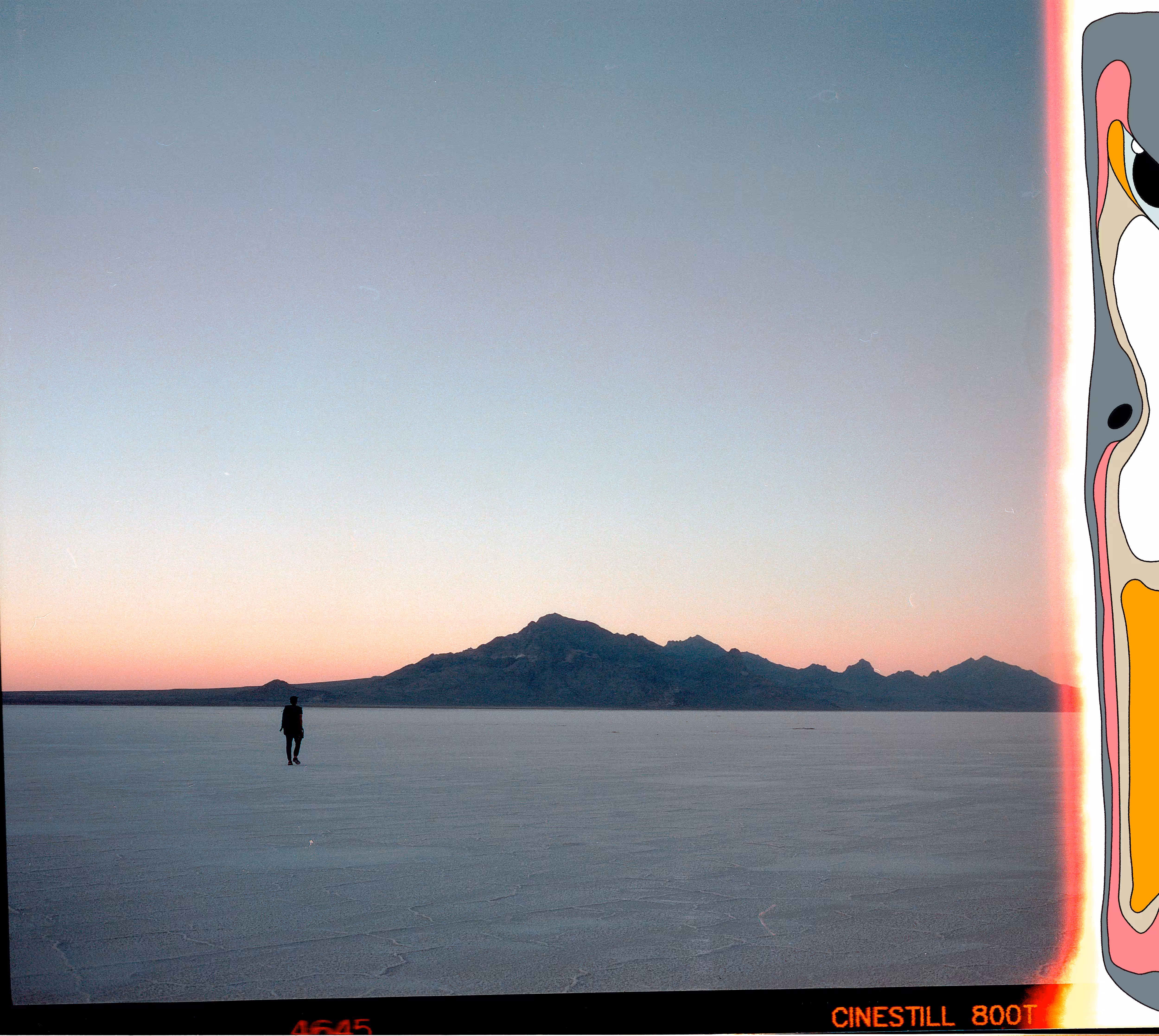 First of the Roll: Empty Space