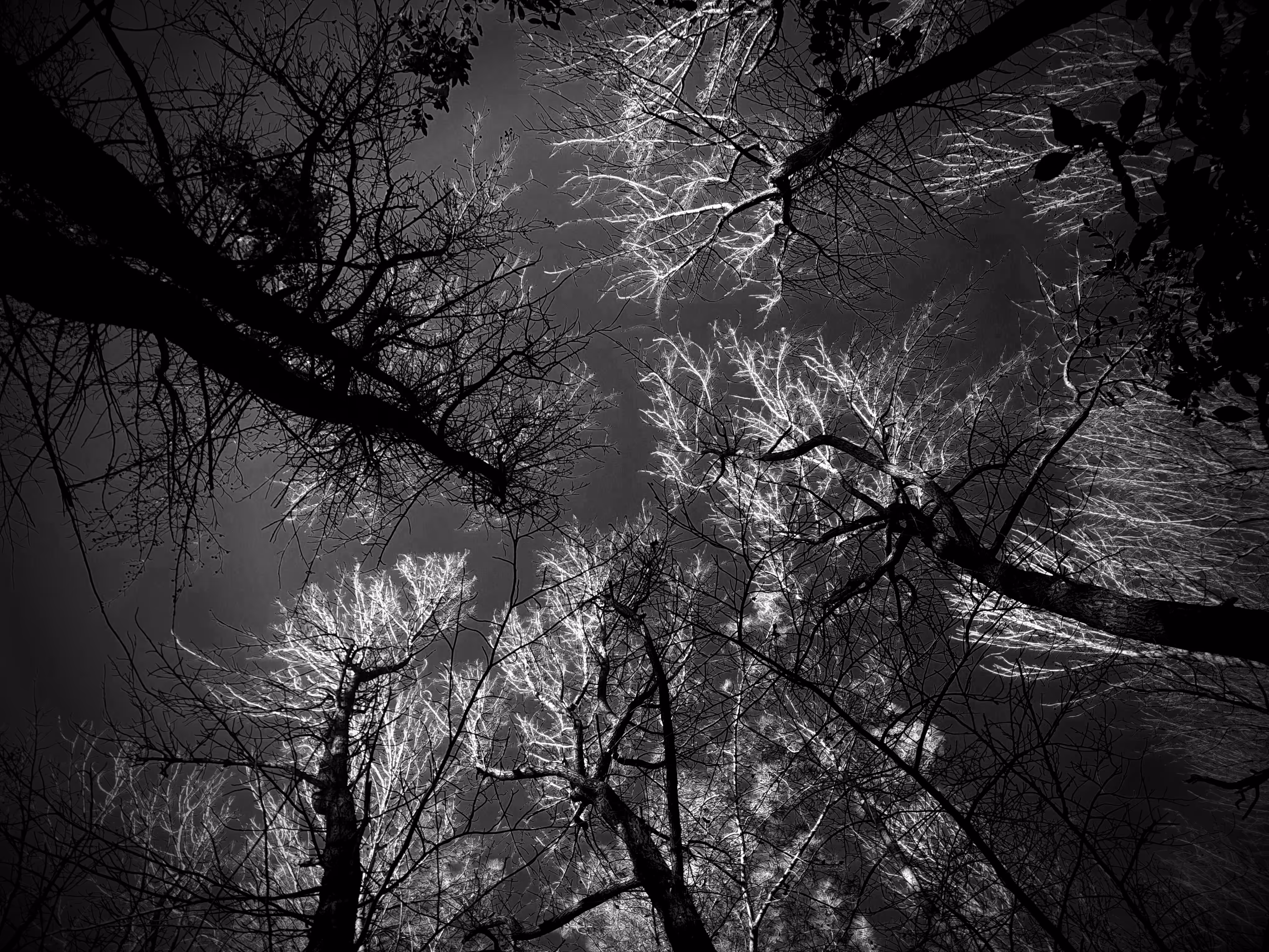 What the Dark Holds