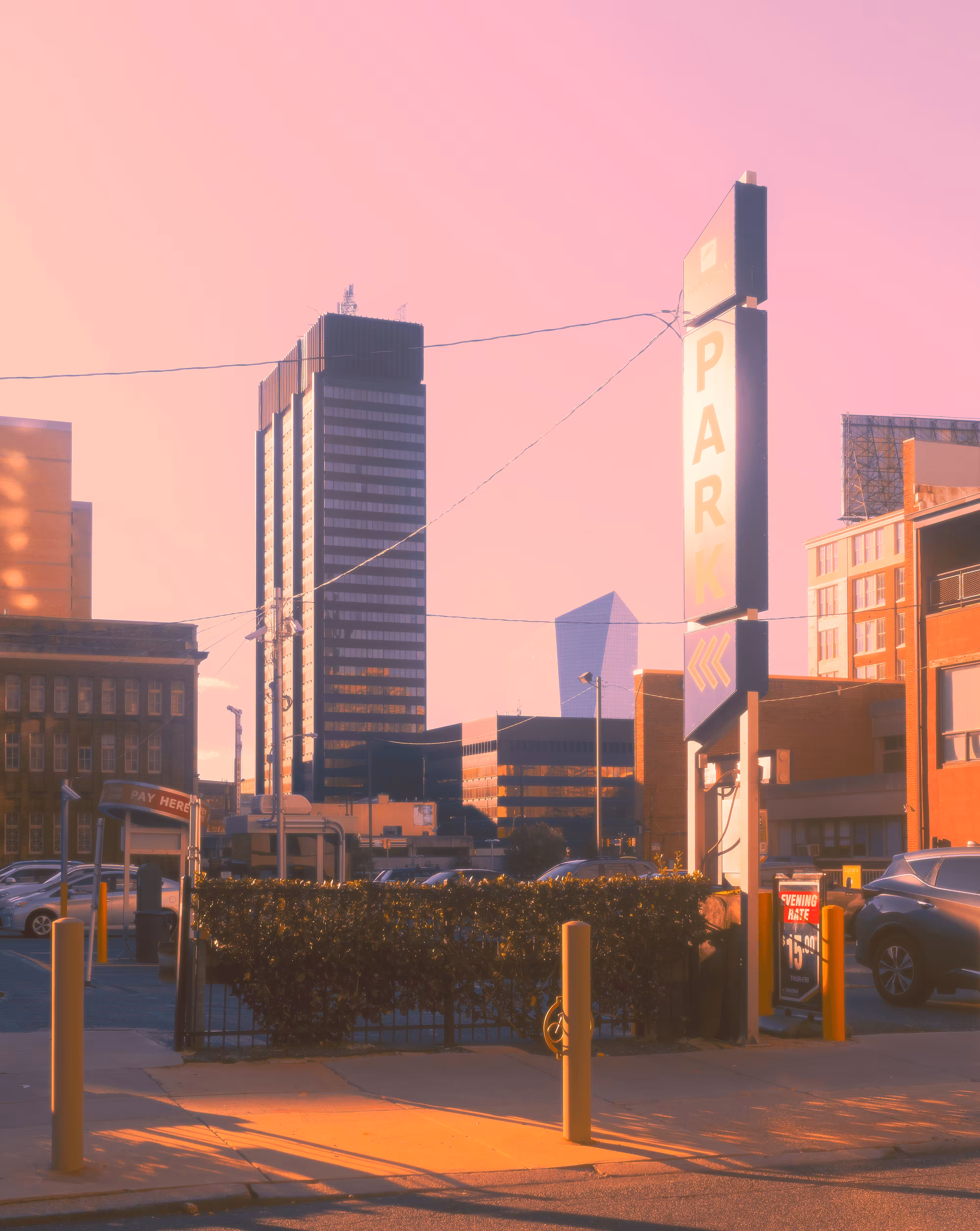 Pink Daze - Visions of Philadelphia #11