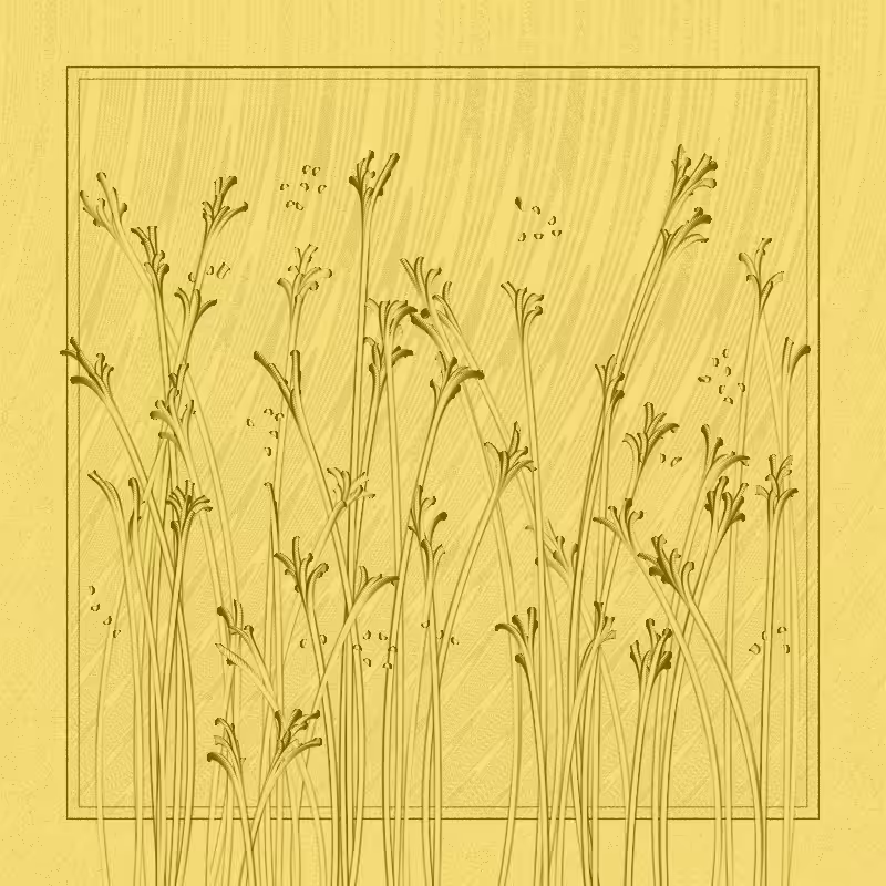 string_pllu #103