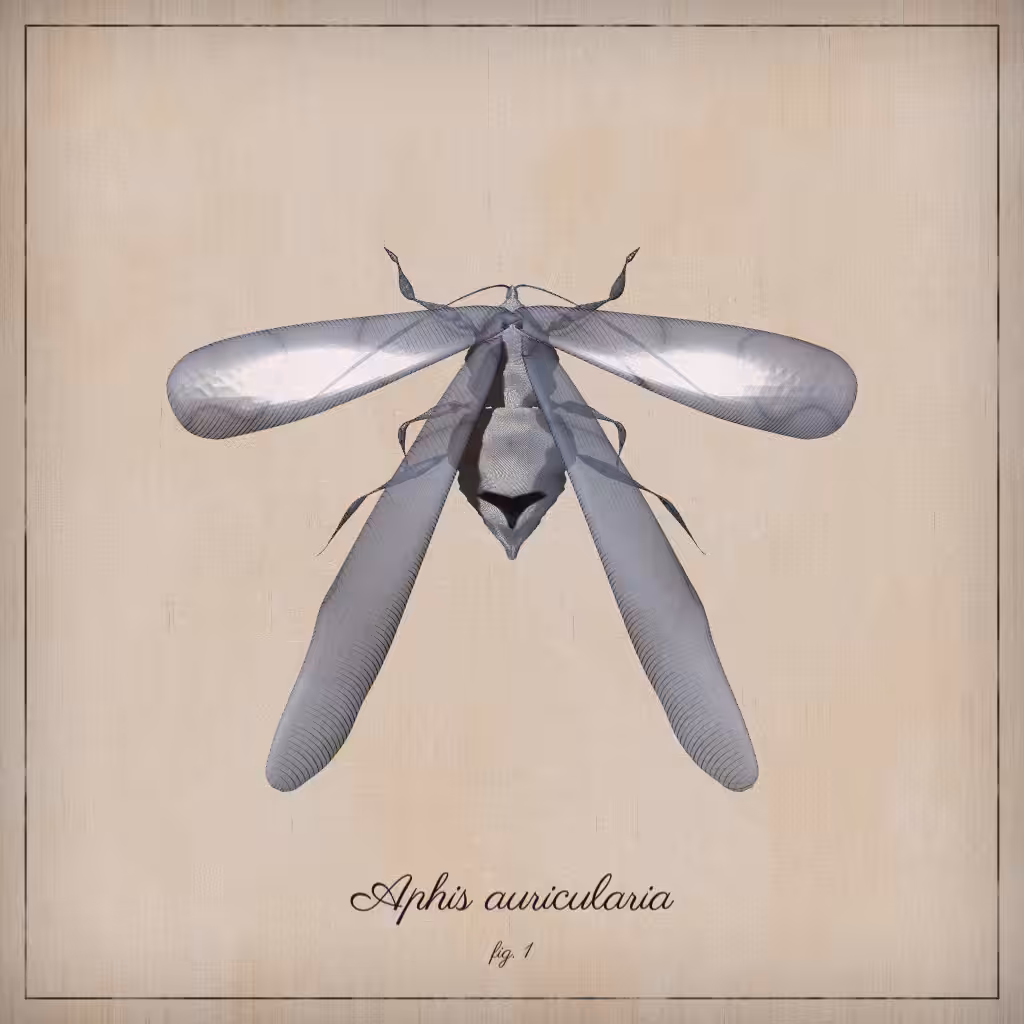 ProcGen Entomology #149