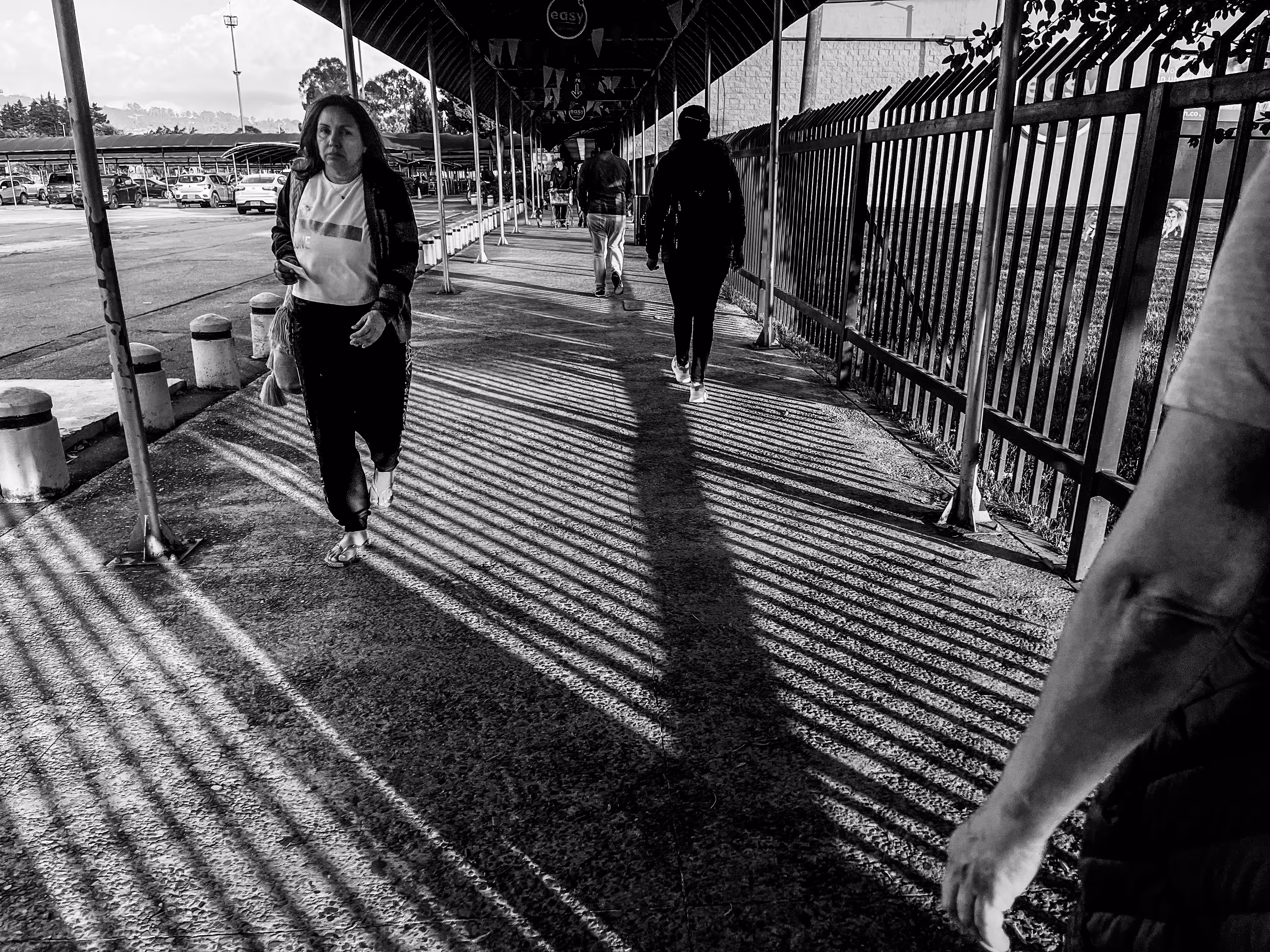 Shadows on Their Way