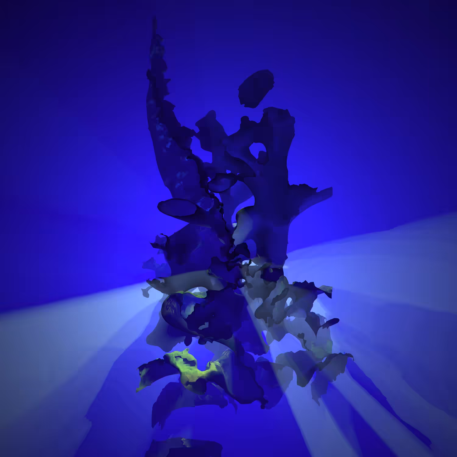 BLOOMCORE #25