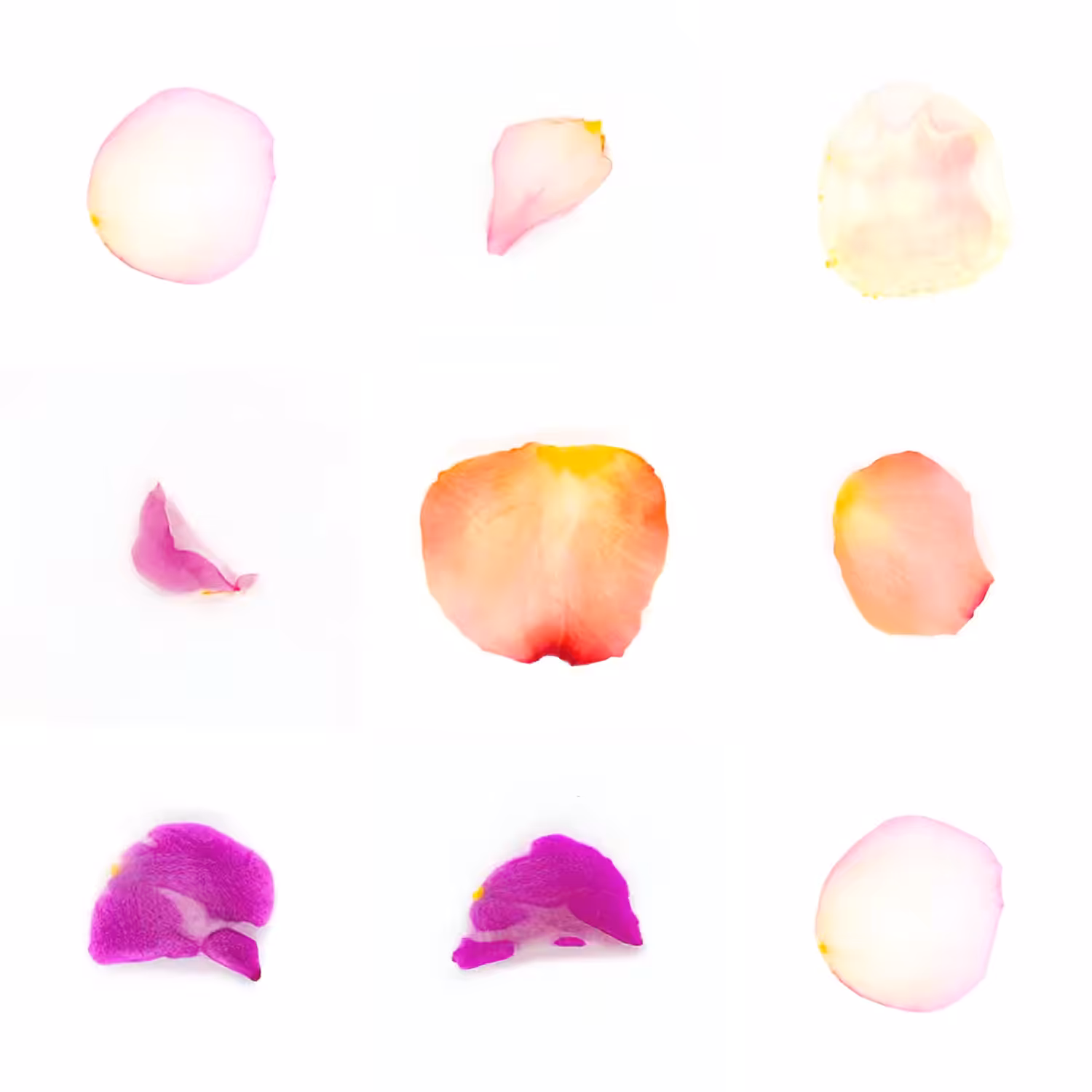 Infinite Petals 3x3#3369