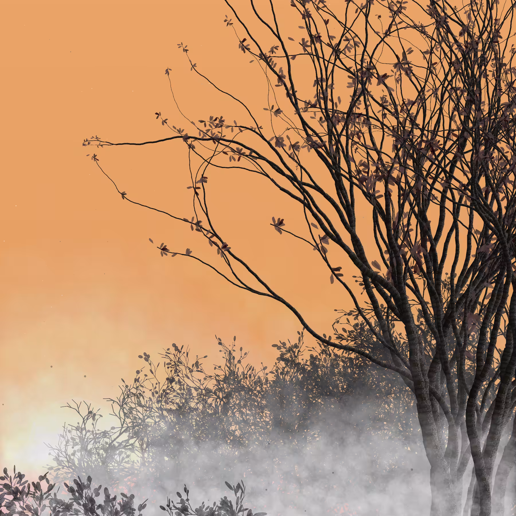 Morning Mist #320