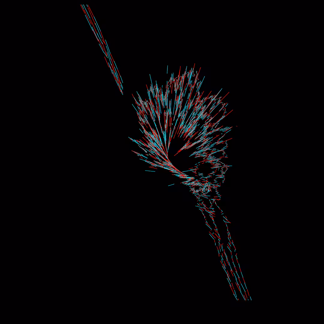 Name: calla lily | BBR Generative Art