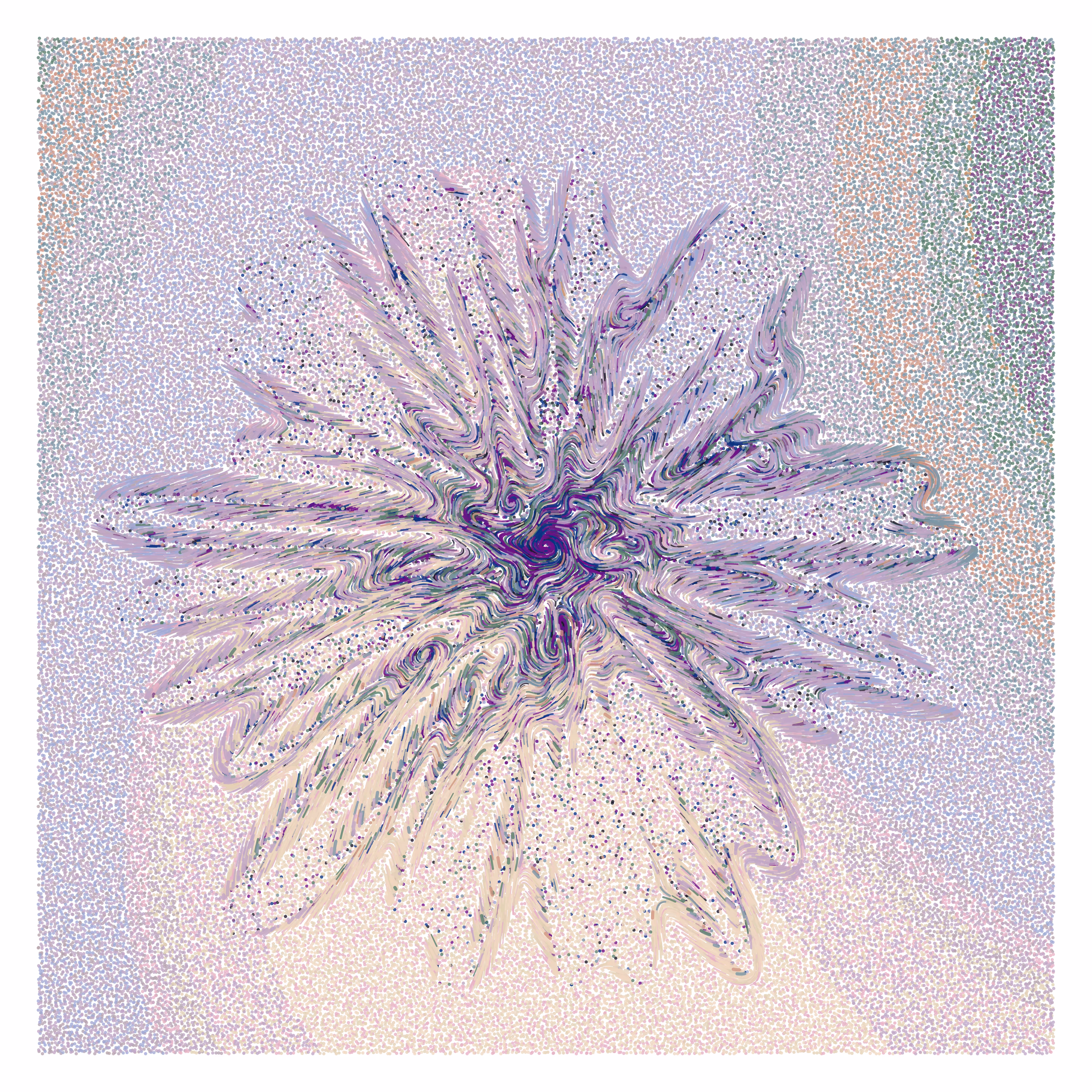 Flower Portrait #11