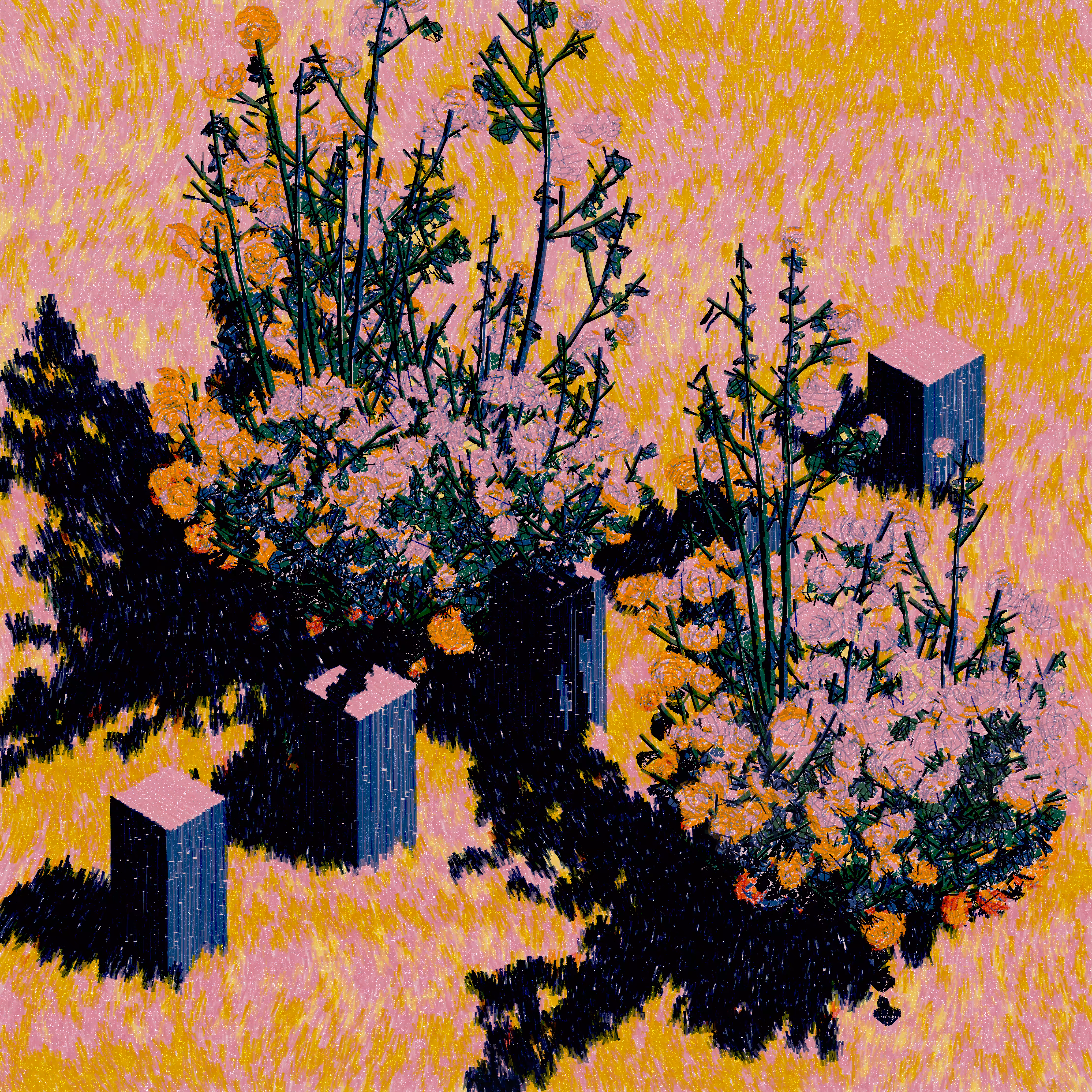 Sunlight through Wild Roses #4