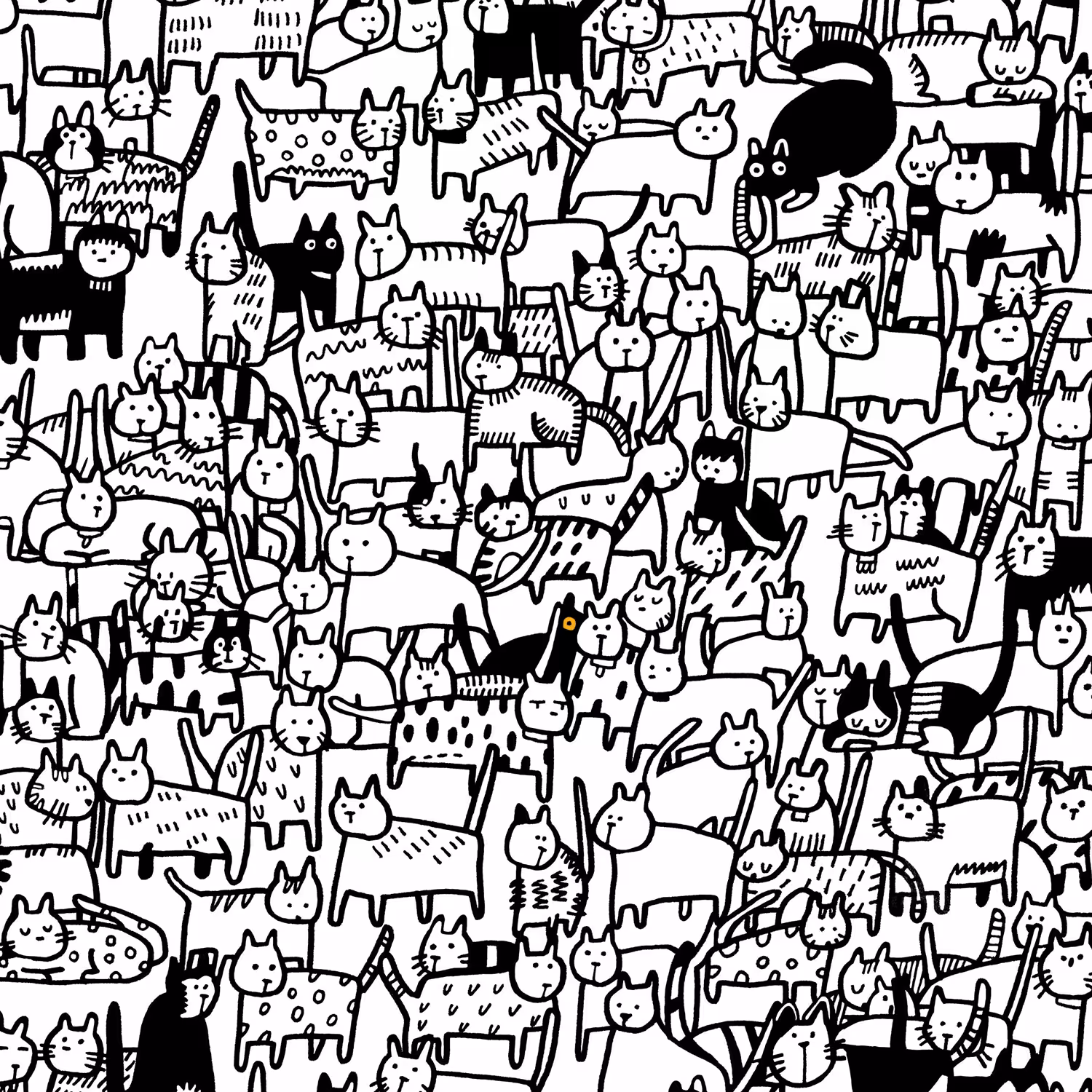 Finding Cats NFT
