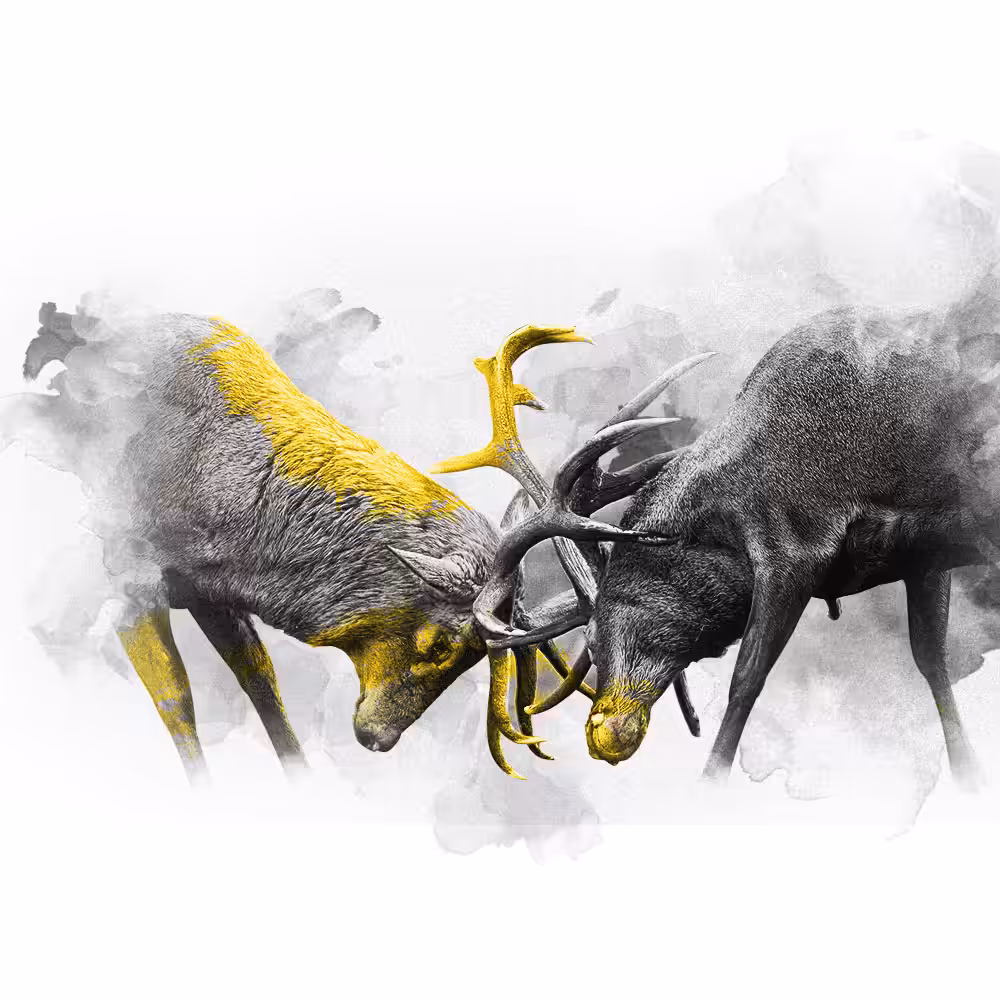 YELLOW SERIES - DEER