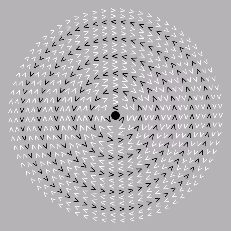 Dizzy Wheel #12