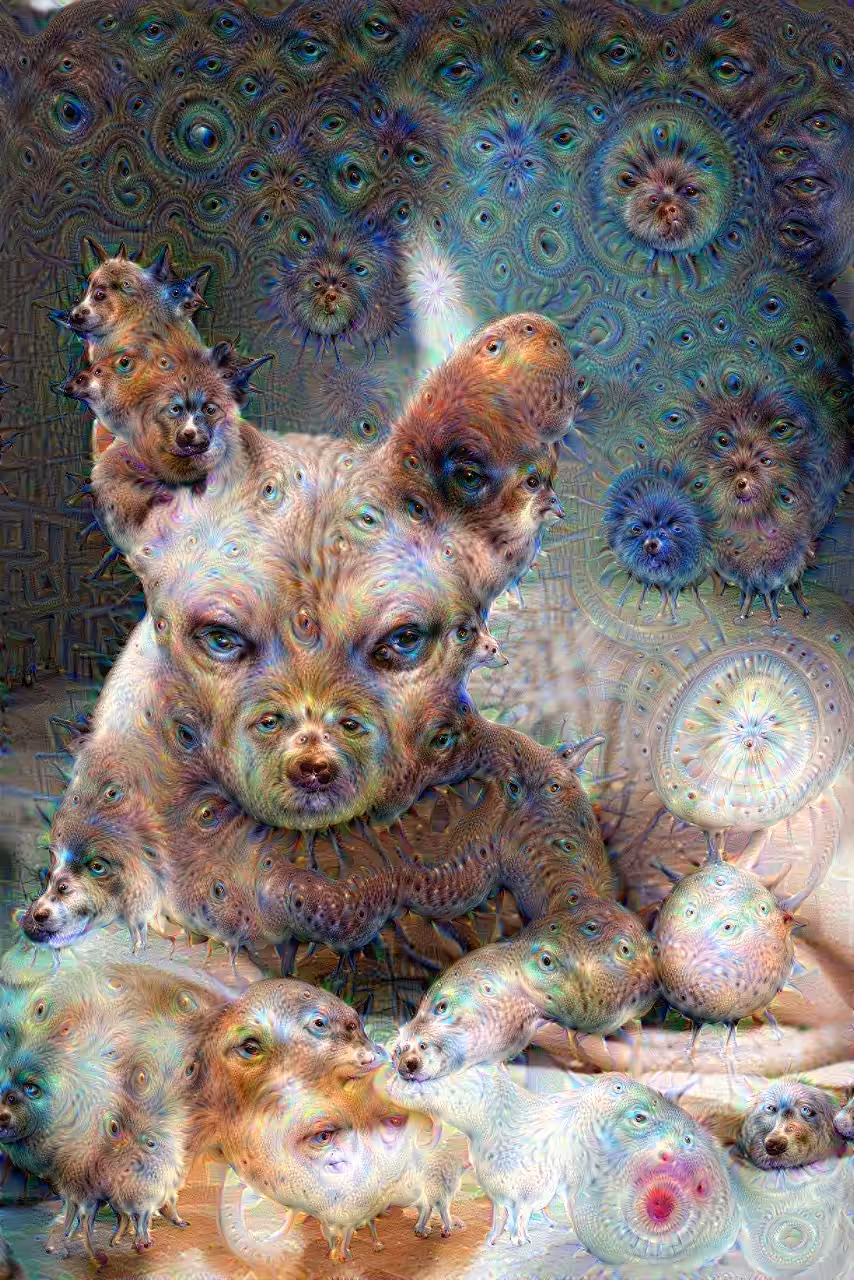 003 - Sphynx Eyes