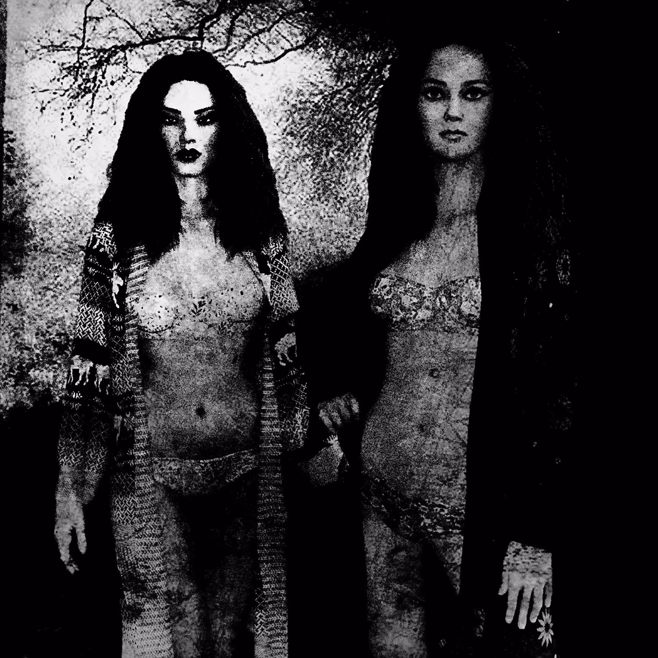dark
