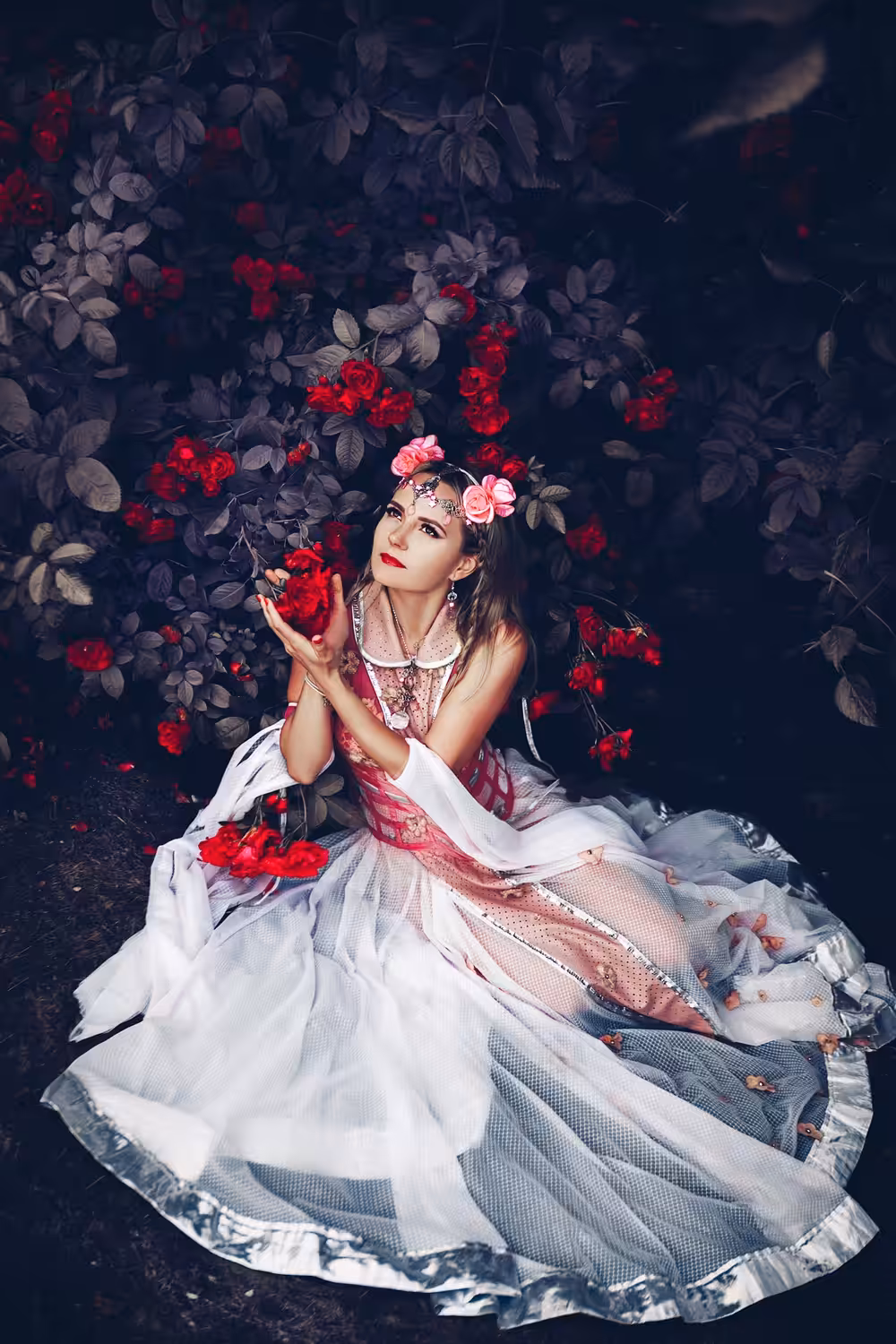 Tale of a Roses