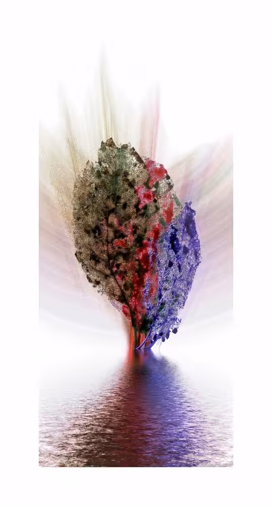 Rain Gives Life The Fragile Balance