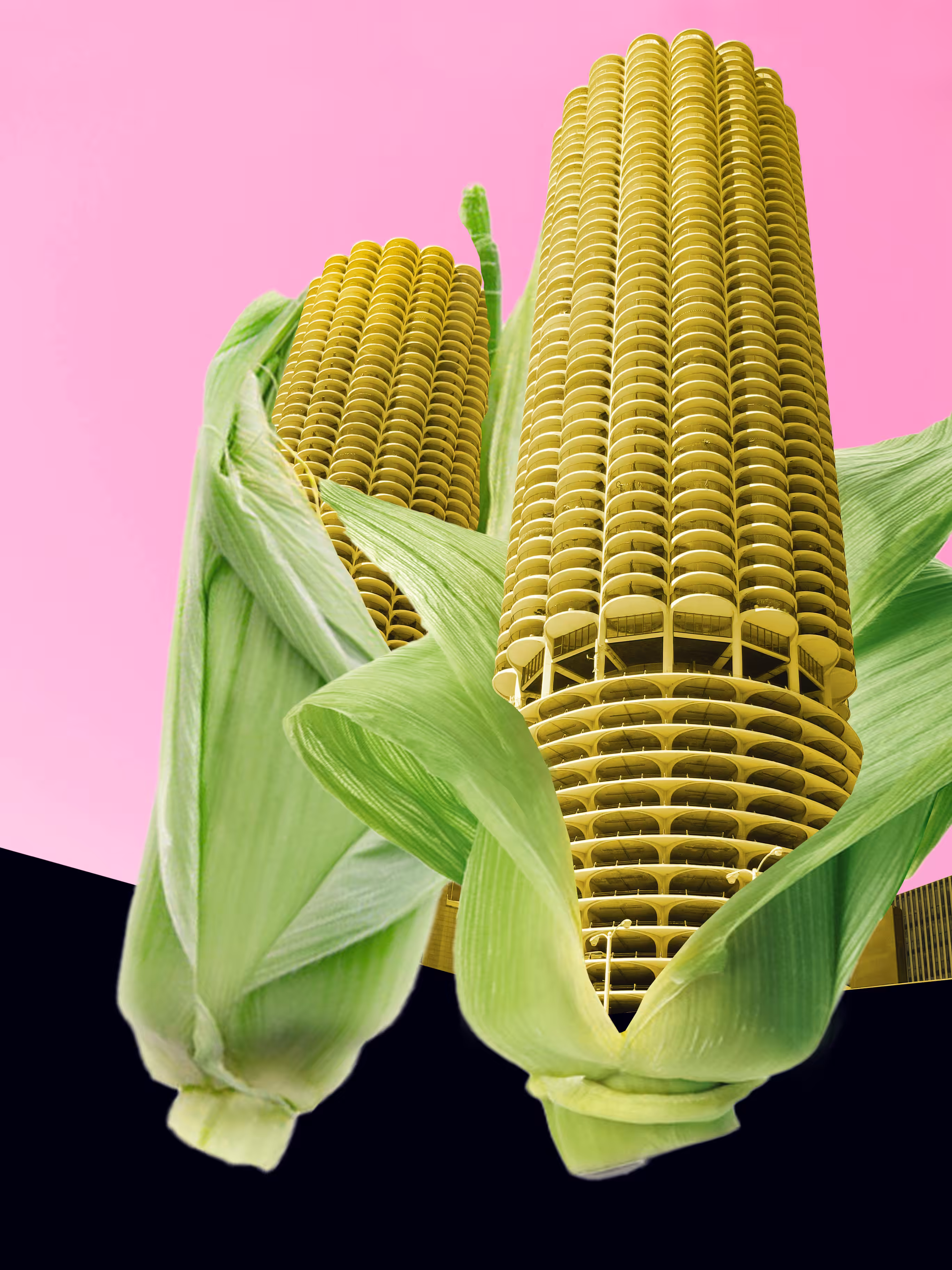 Pop-corn