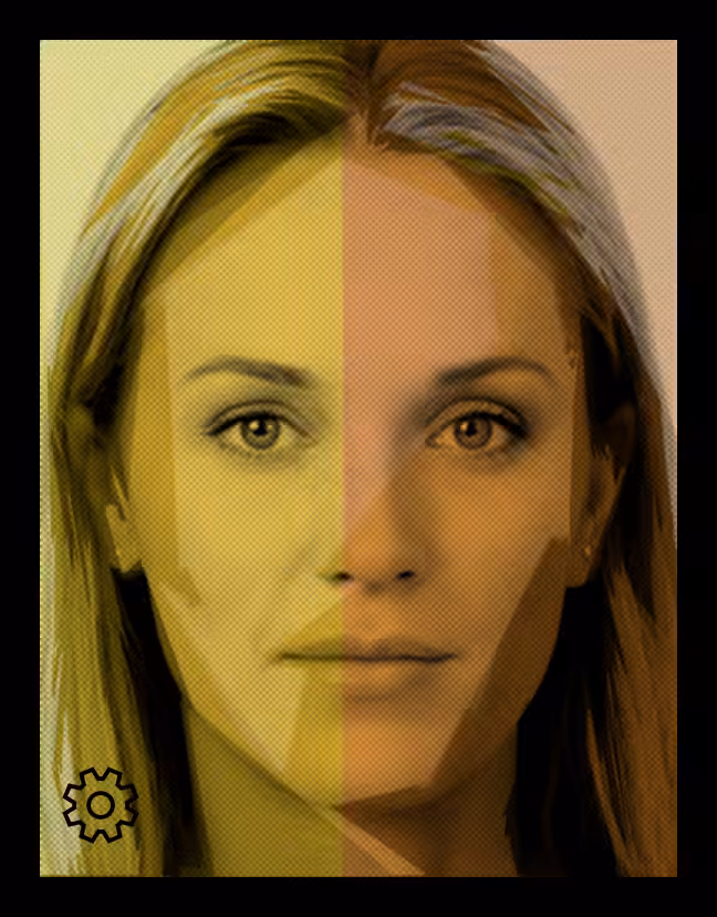 Faces Without Frontiers
