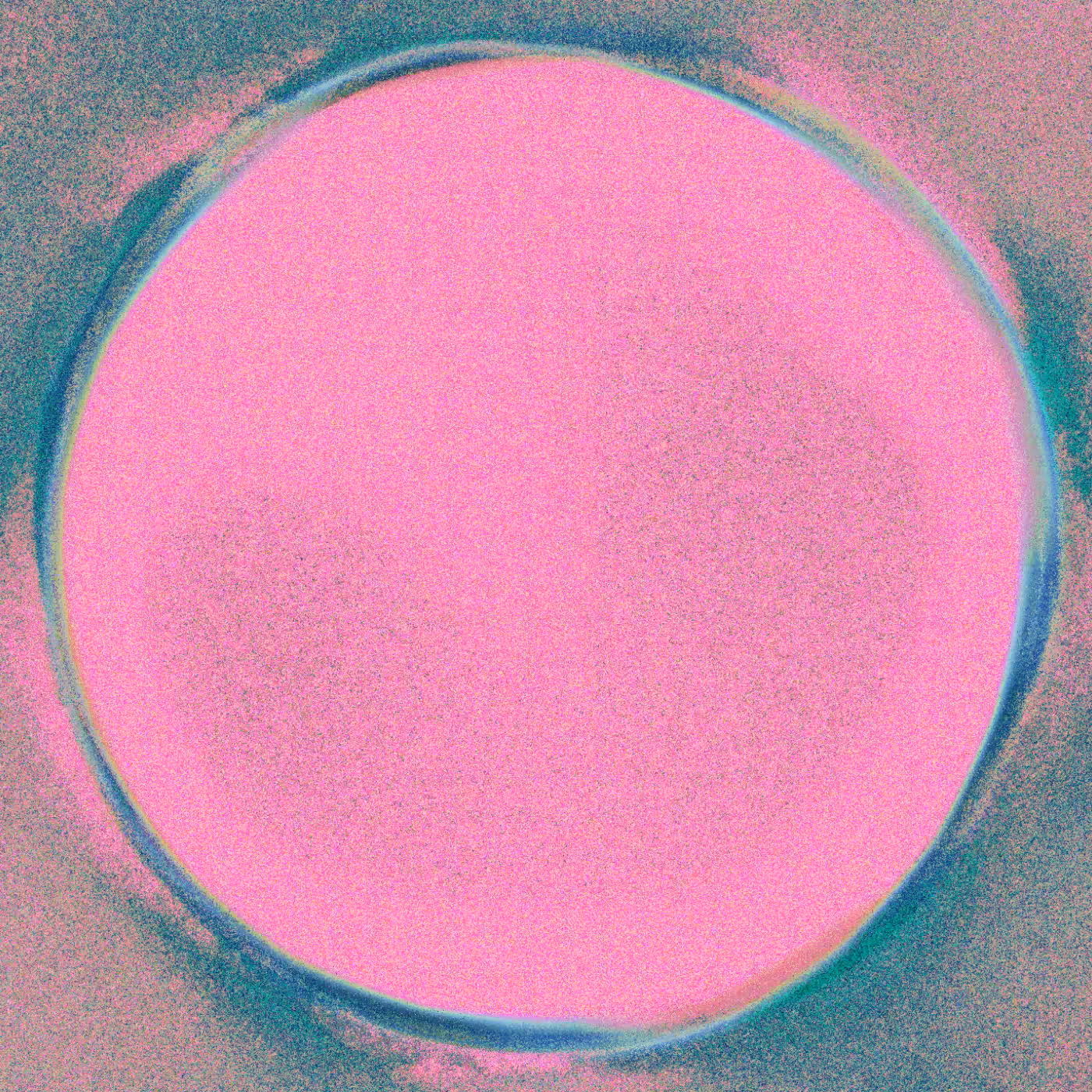 ⊗⊕⊗⊕ #43