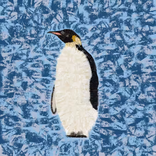 Emperor penguin