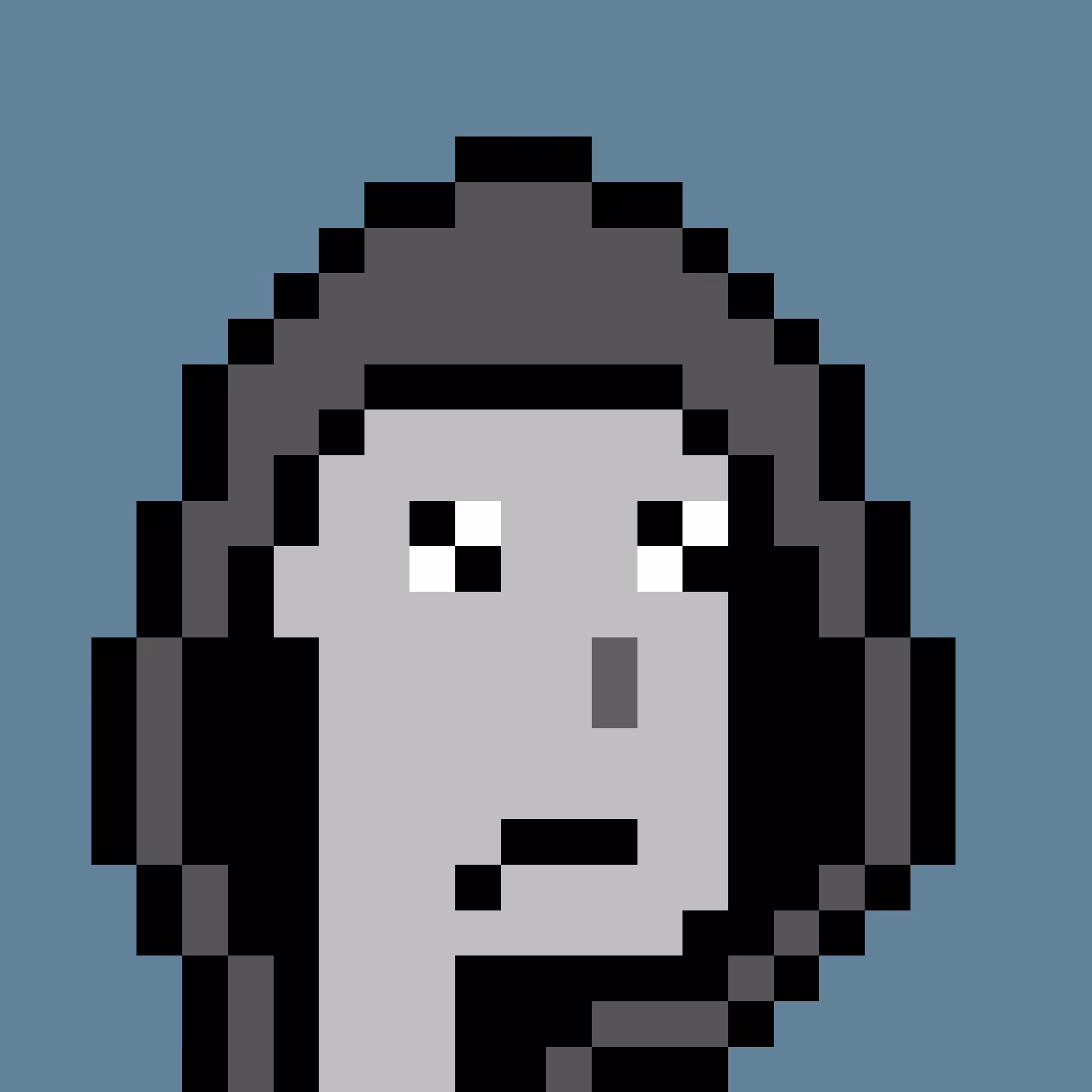 RoboPunks 2048 #1497