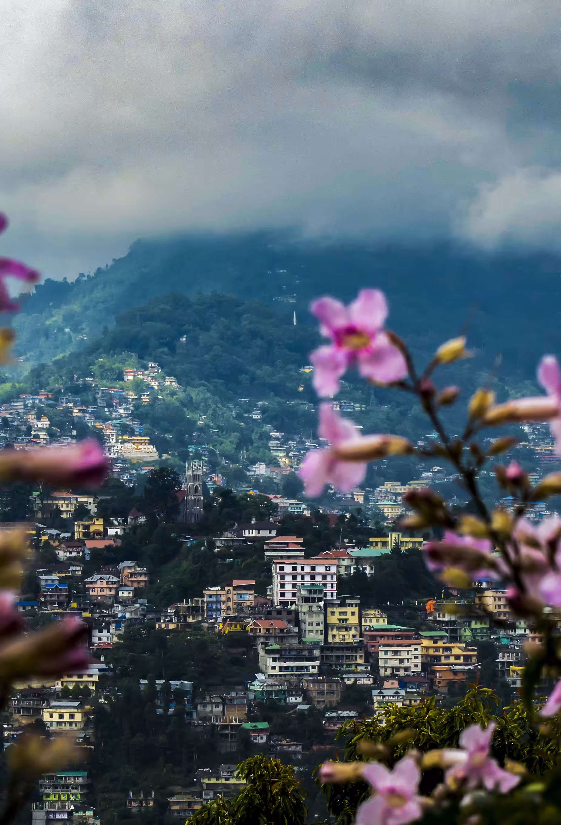 Mountain Reverie