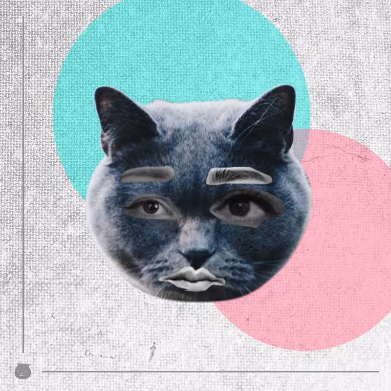 Kittenstein #44