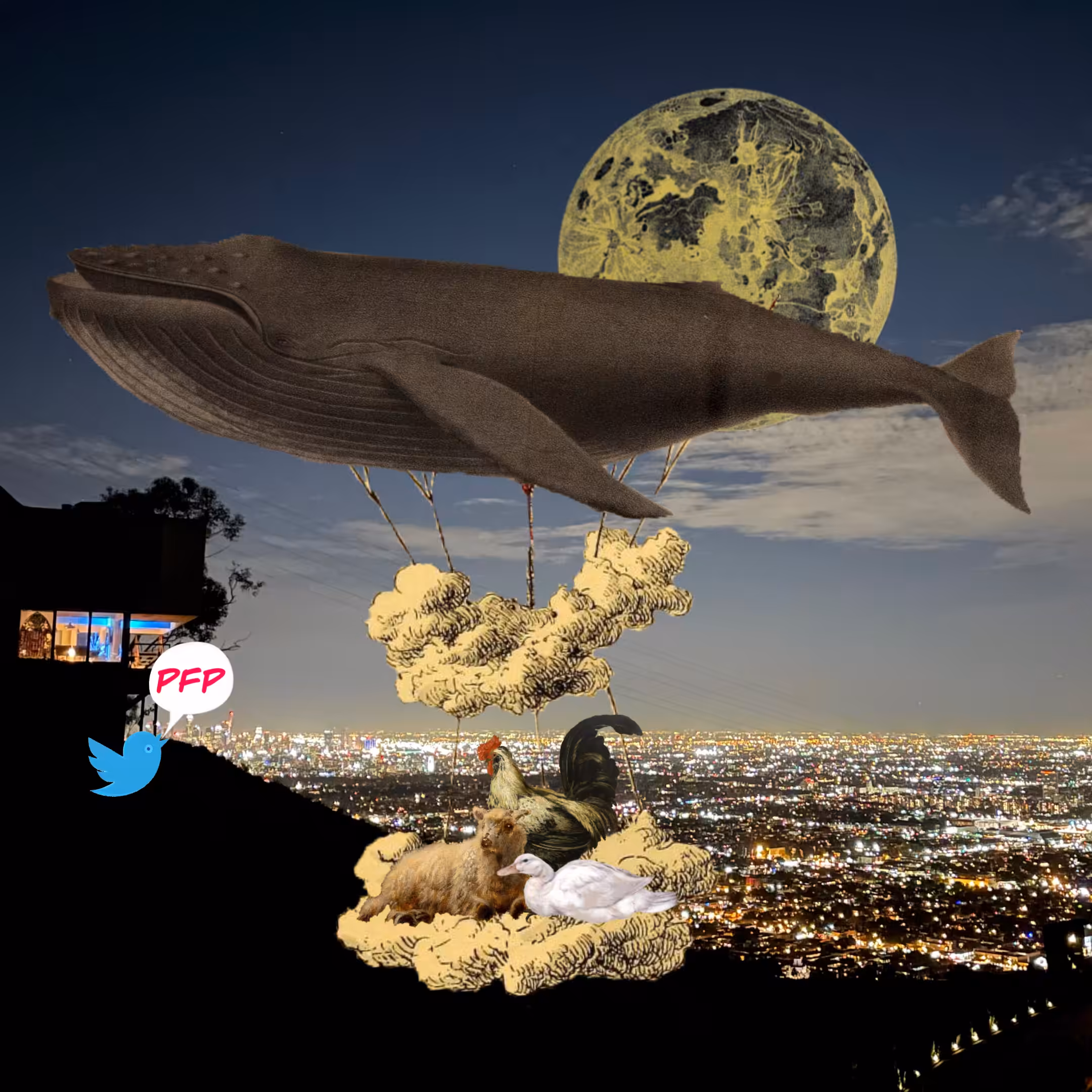 Airship #307