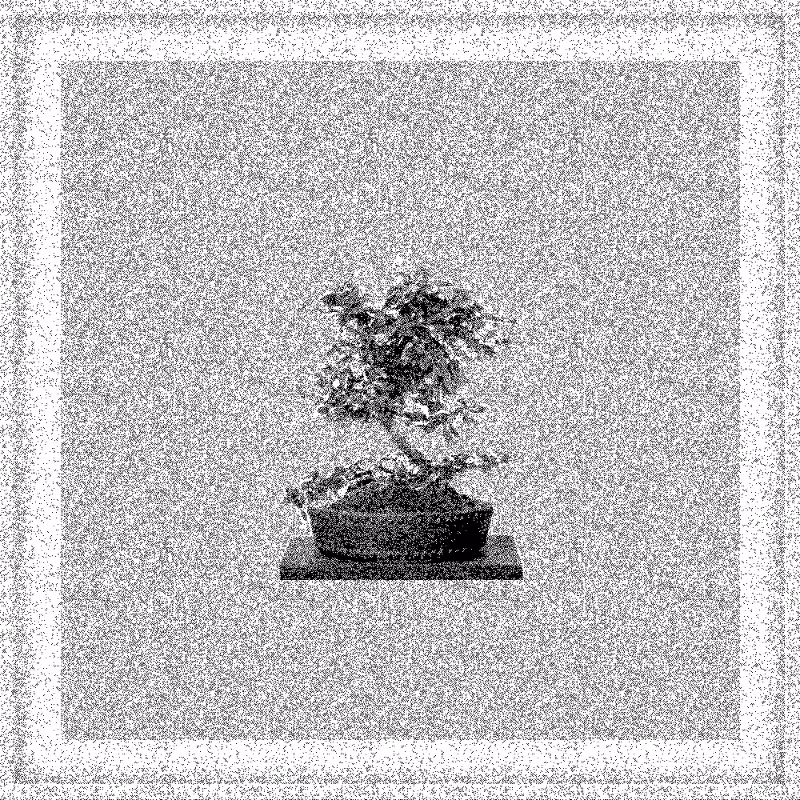 Bonsai Bonanza #565