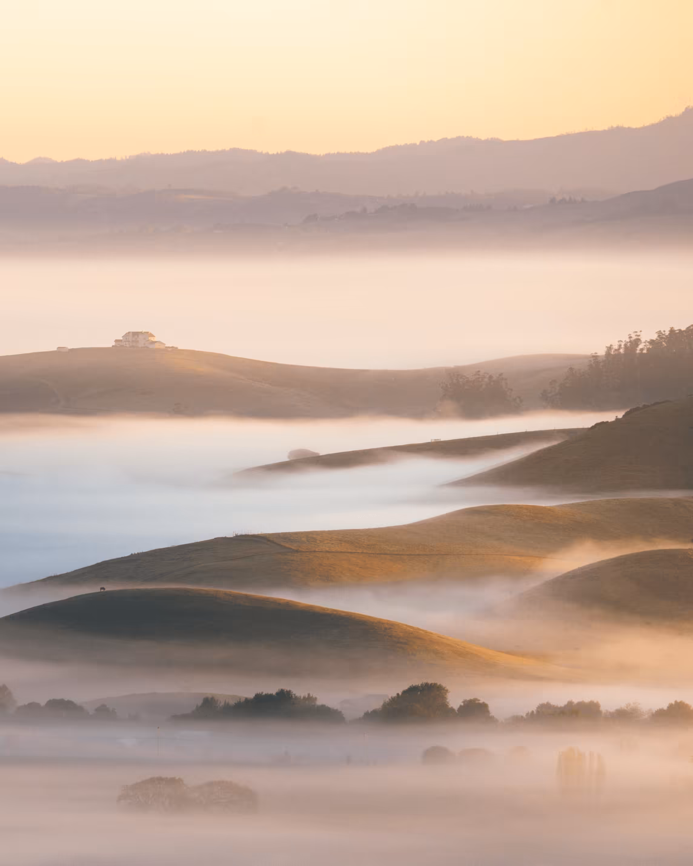 A Symphony of Fog #13