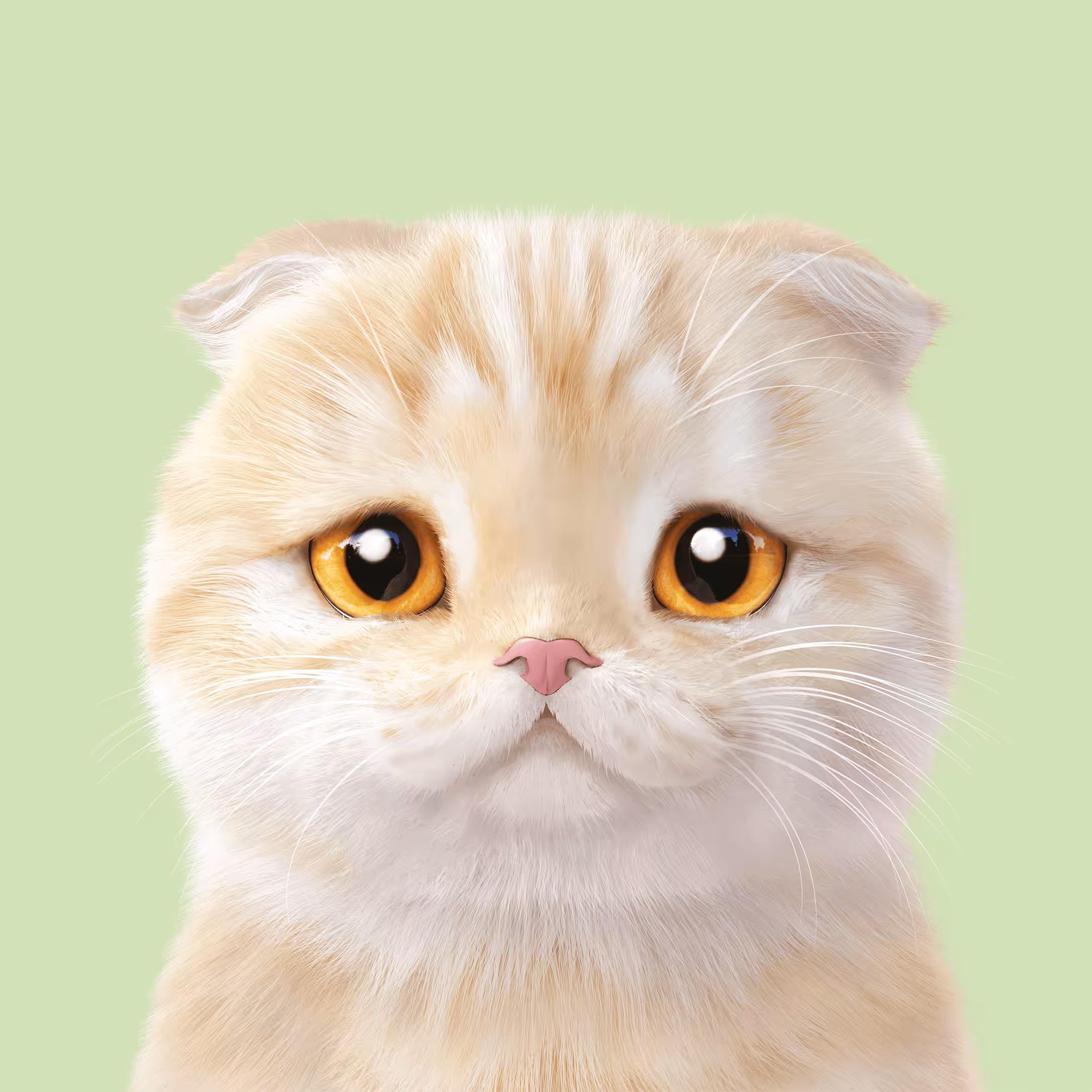 #239 Achi