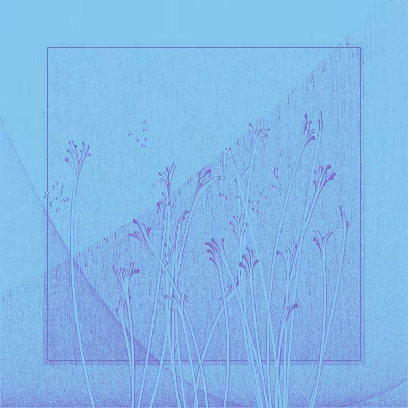 string_pllu #85