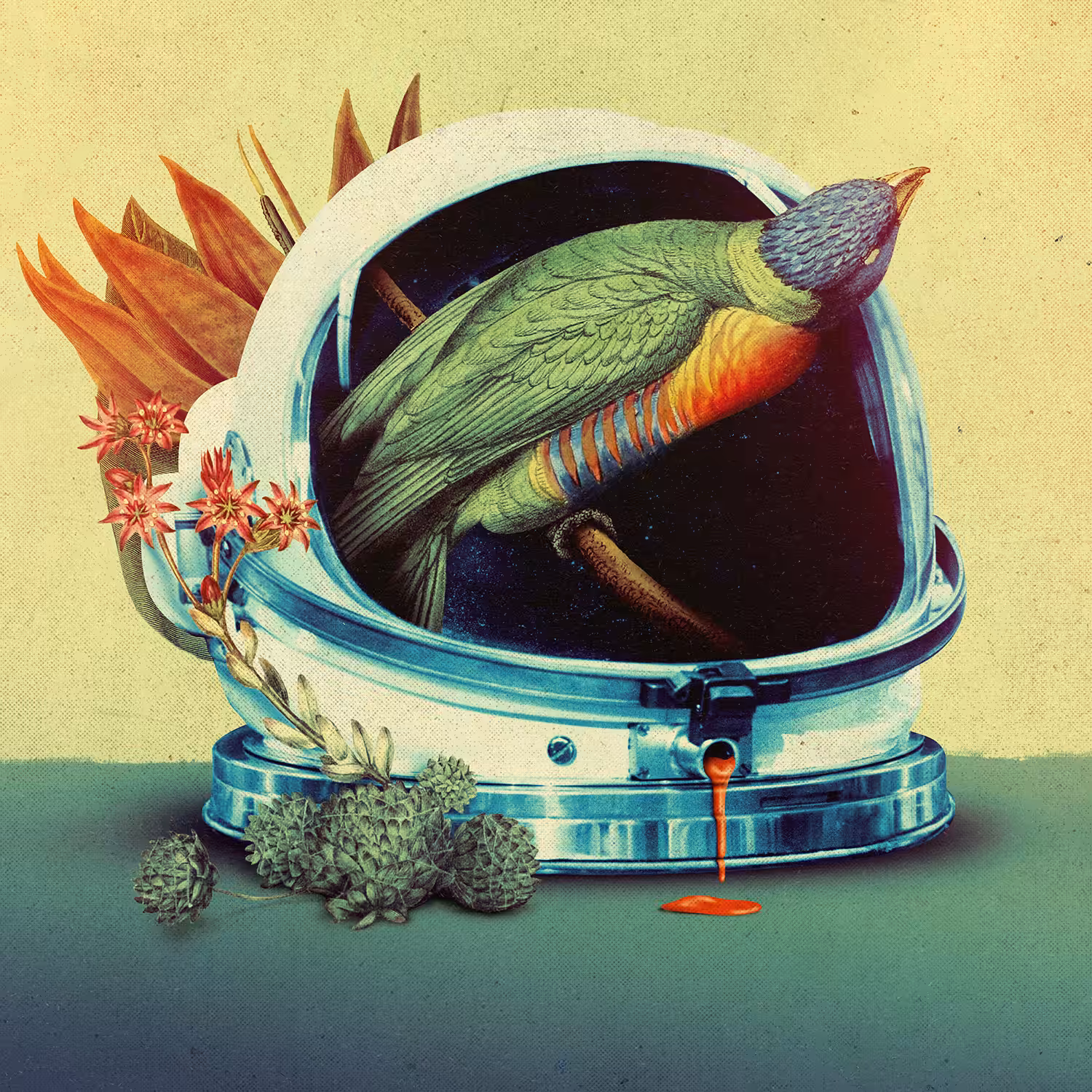 Astro Bird