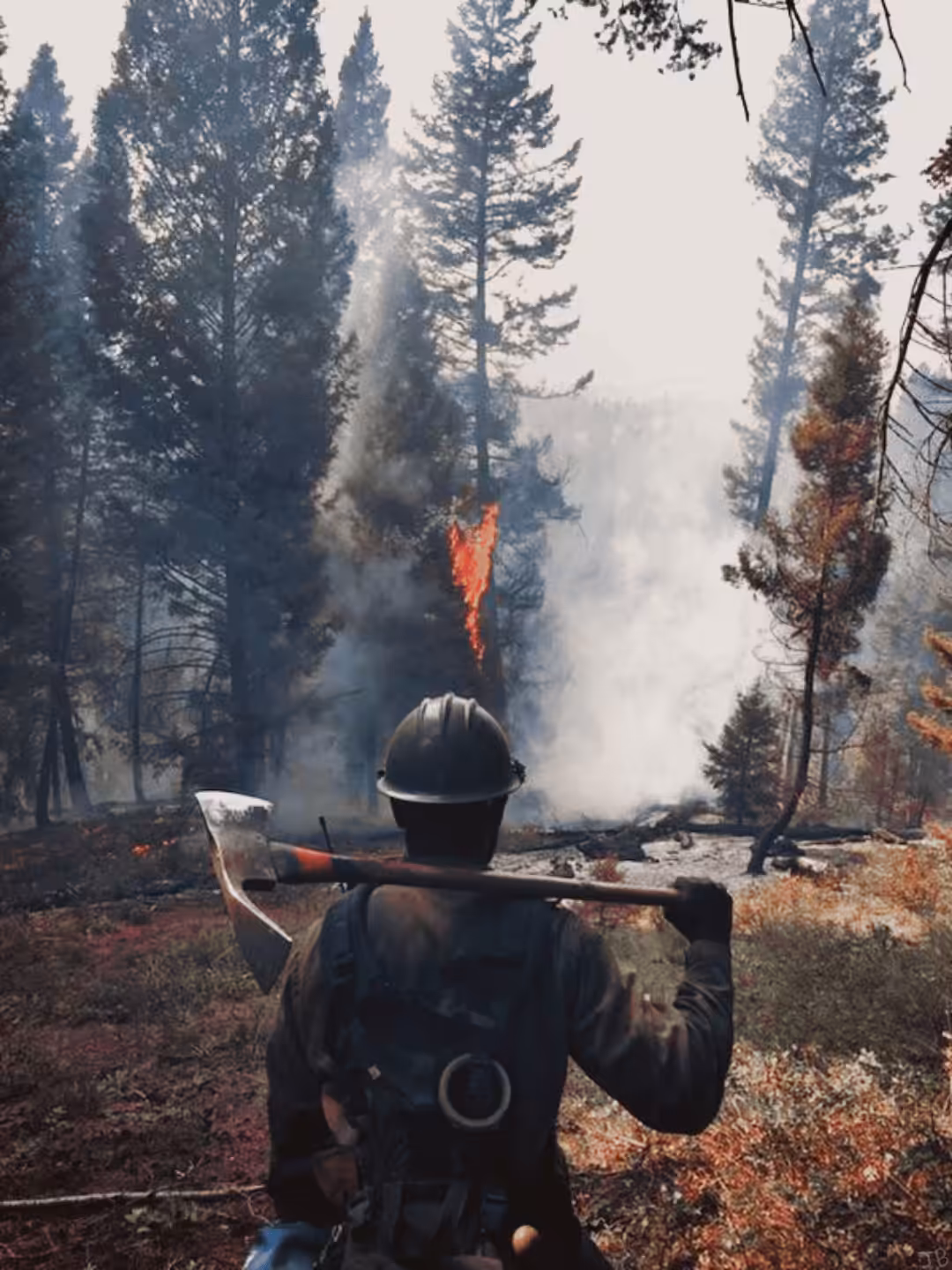 The Boy and the Flame 