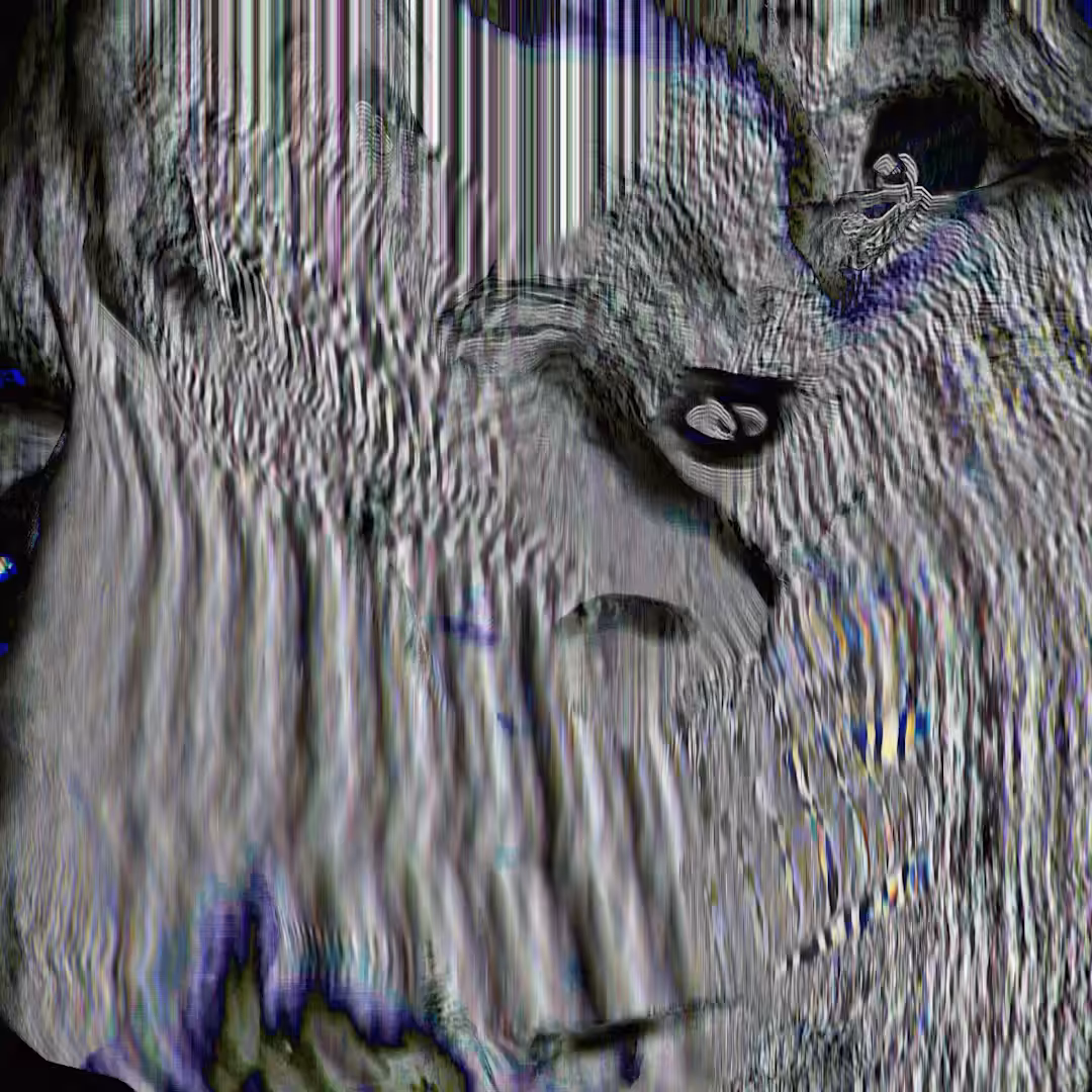 A̷M̶ ̸I̸ ̵W̵R̸O̵N̶G̸?̸