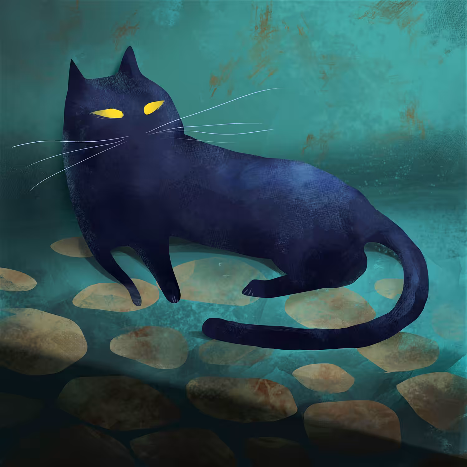 The black Cat 