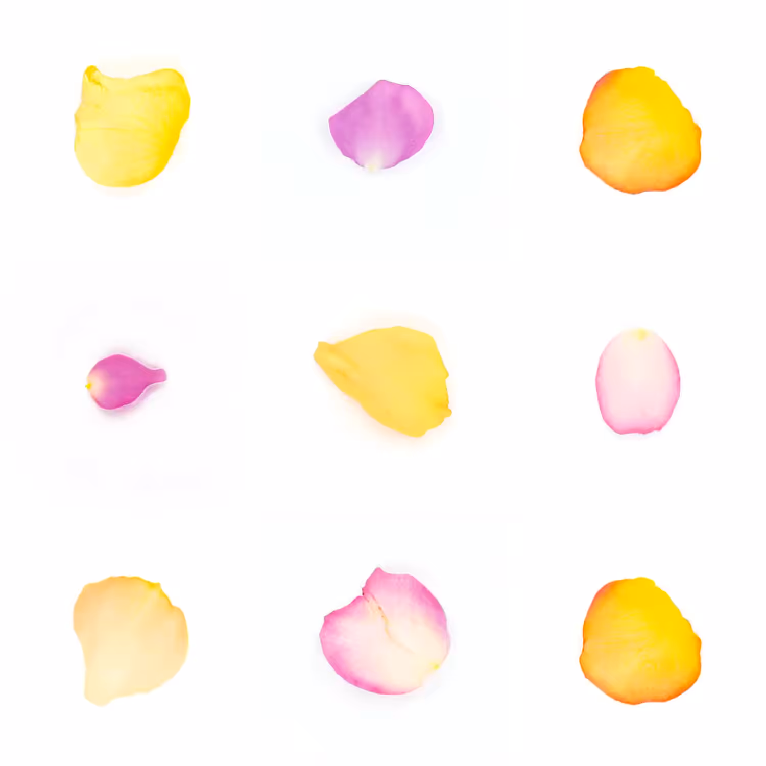 Infinite Petals 3x3#1099