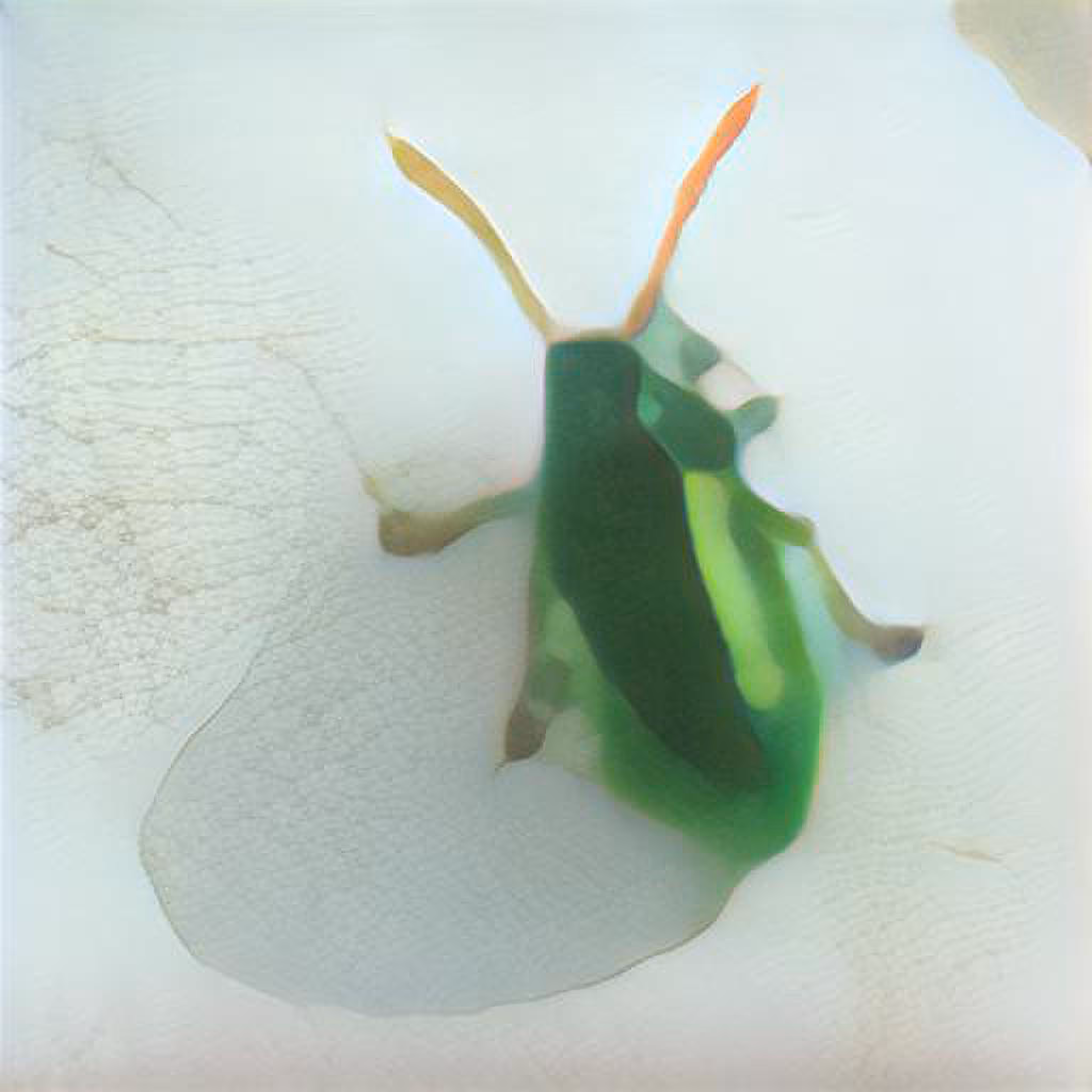 Super Image Series #003