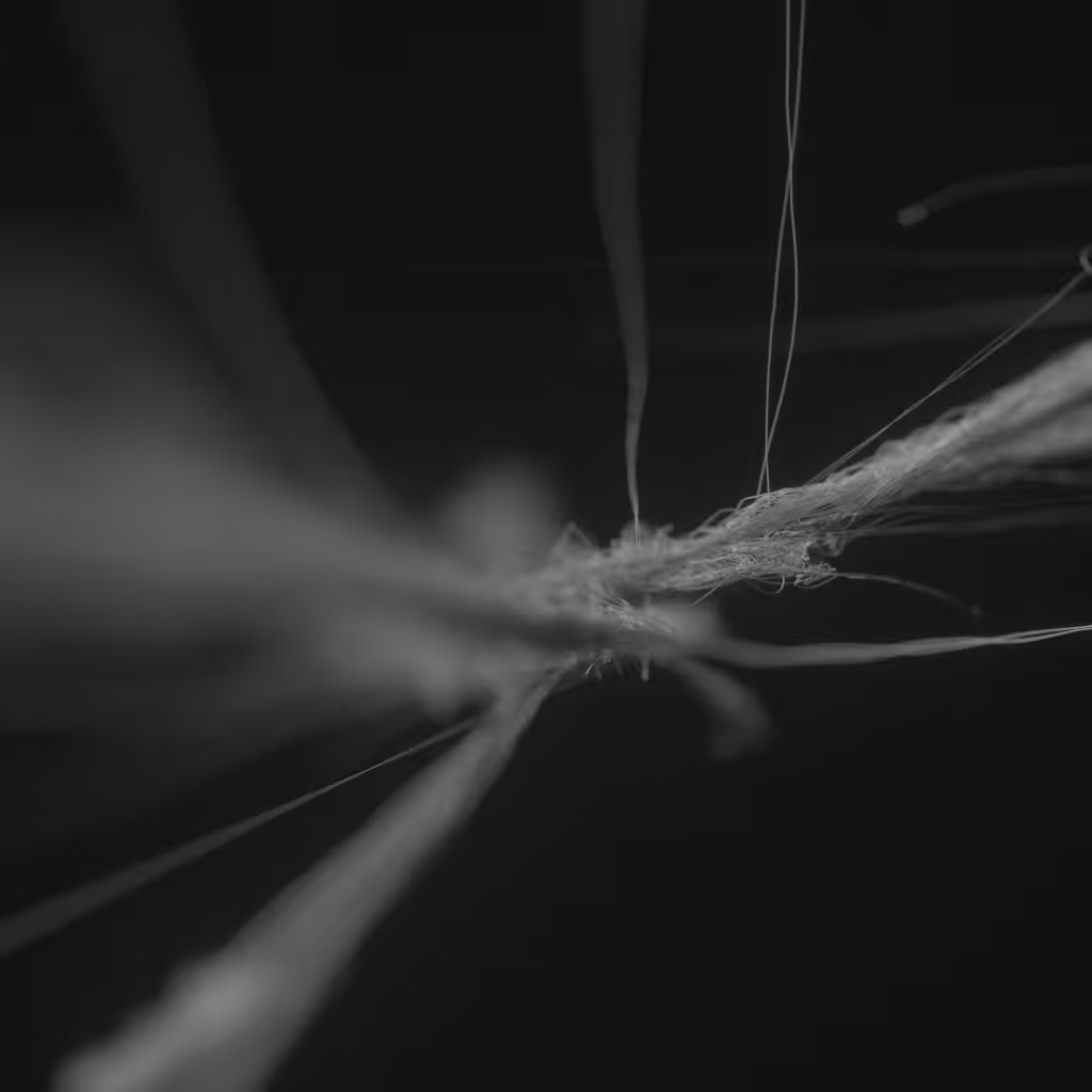 Knots