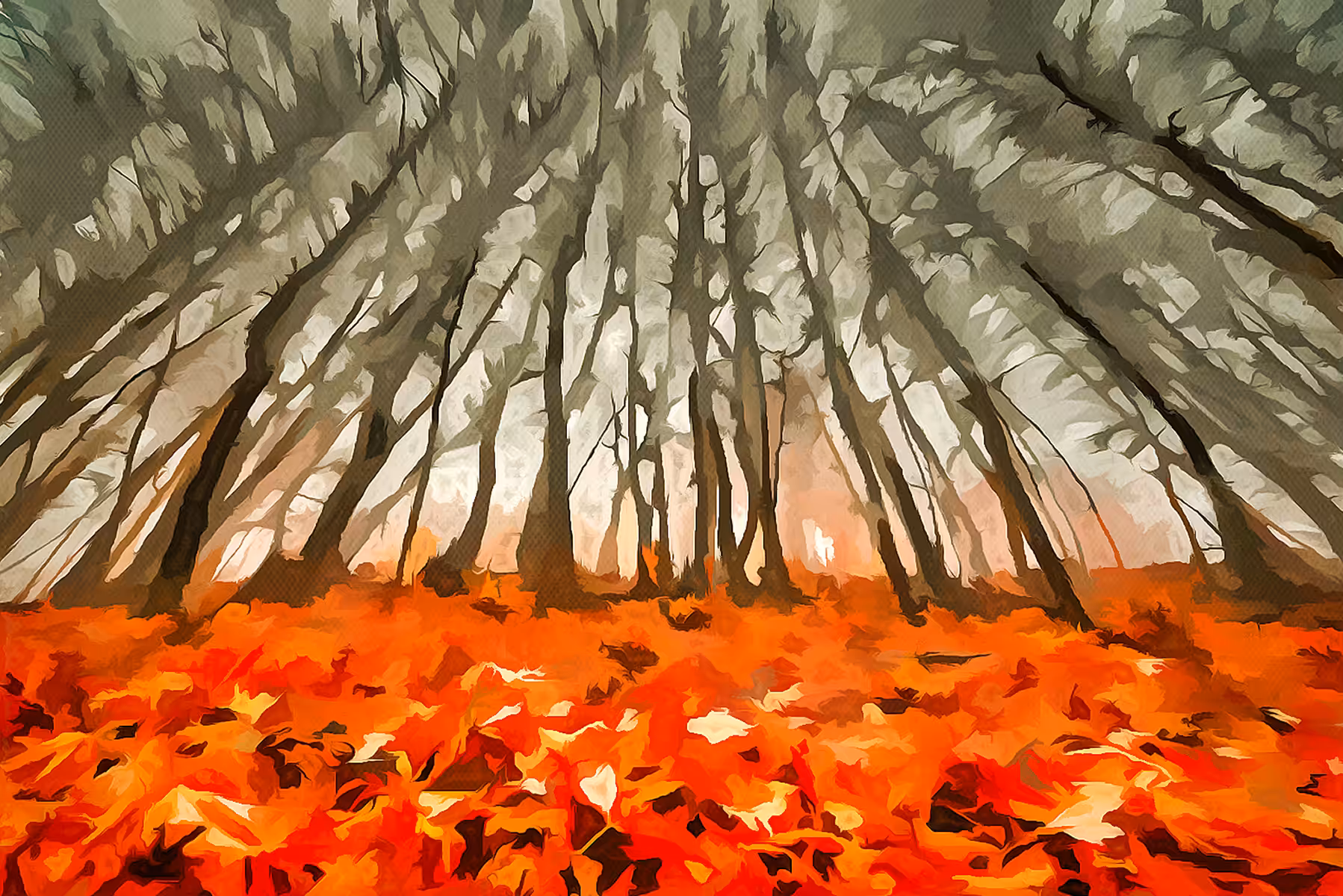 autumn