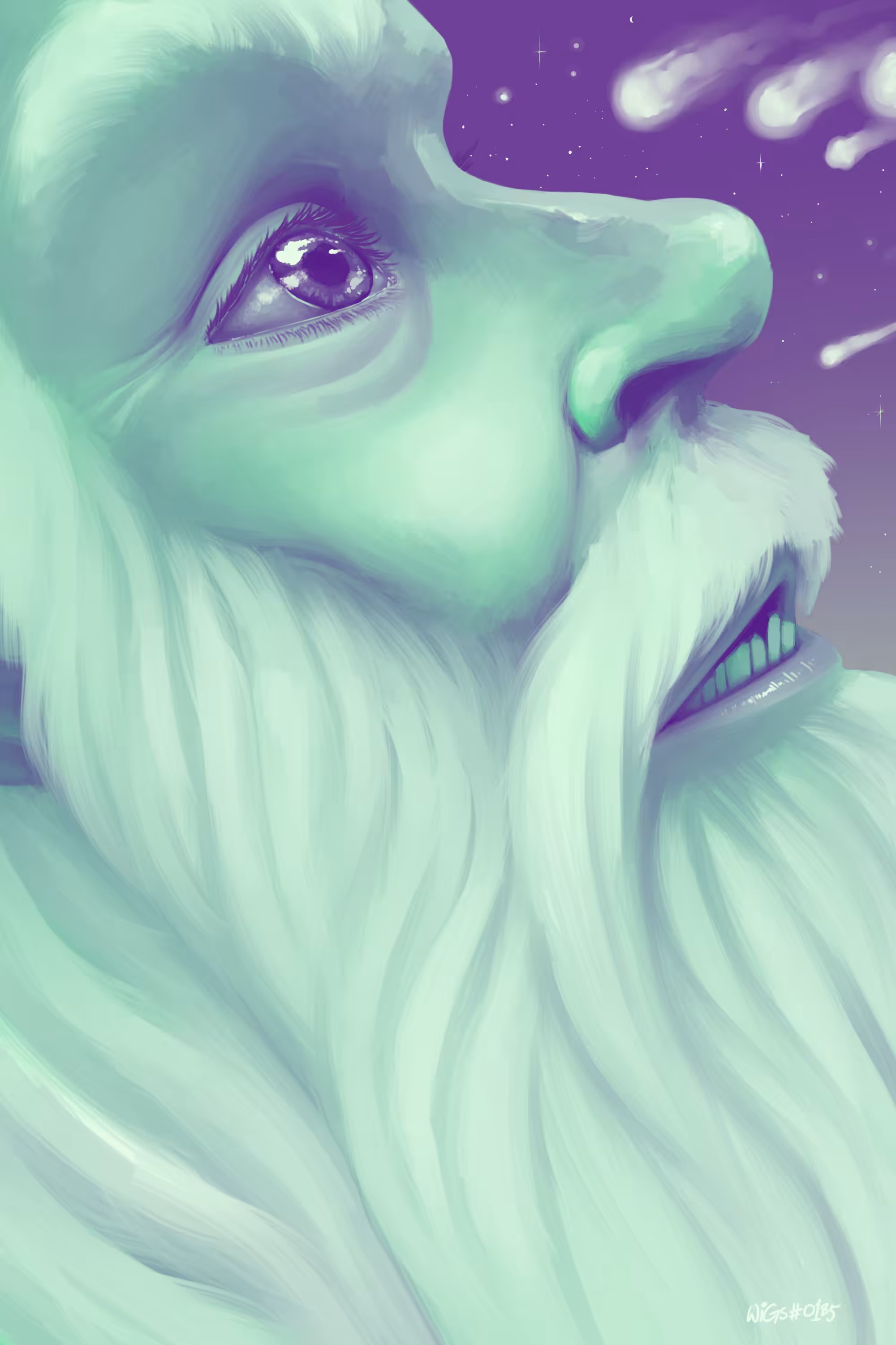 #1 The Wizard
