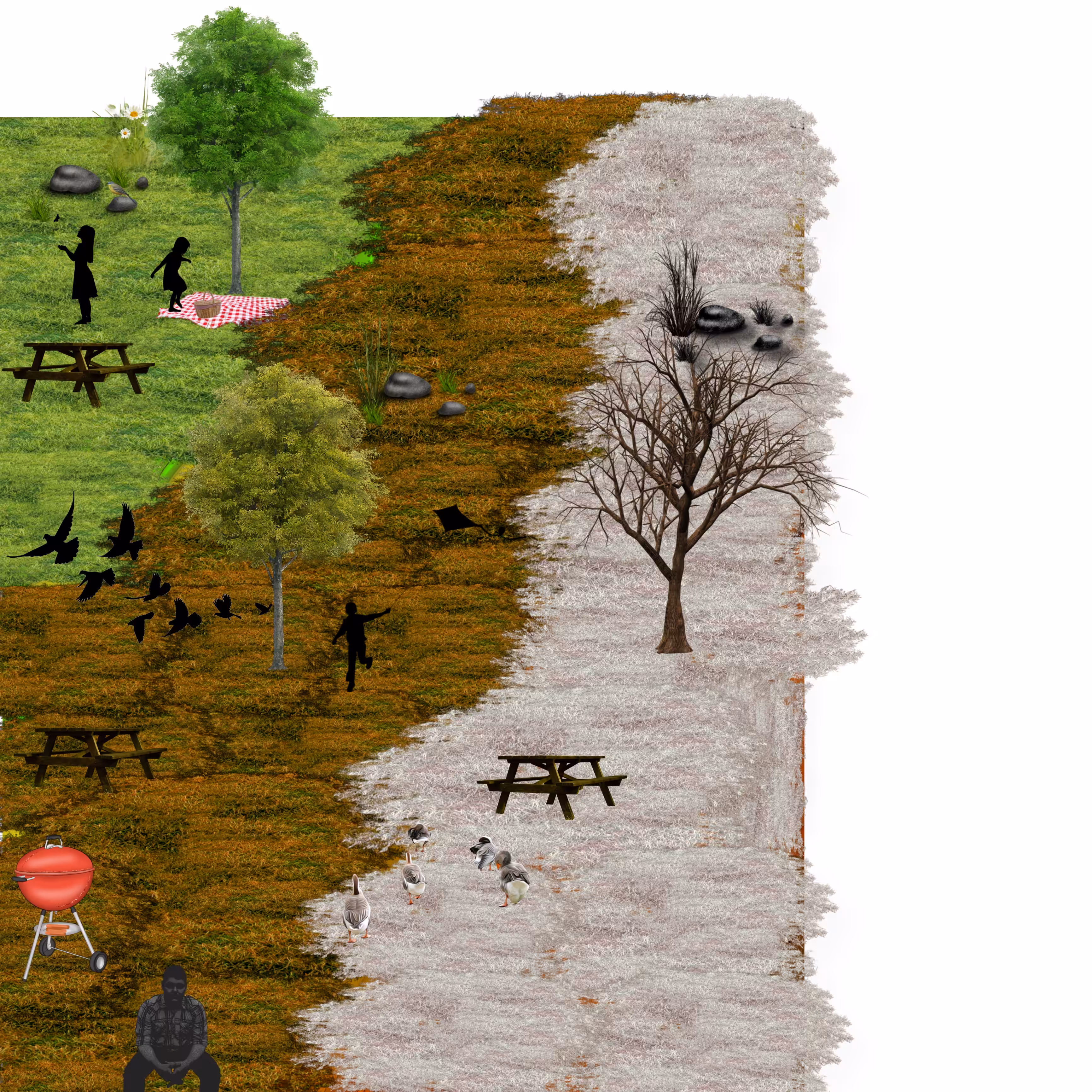seasons of a park